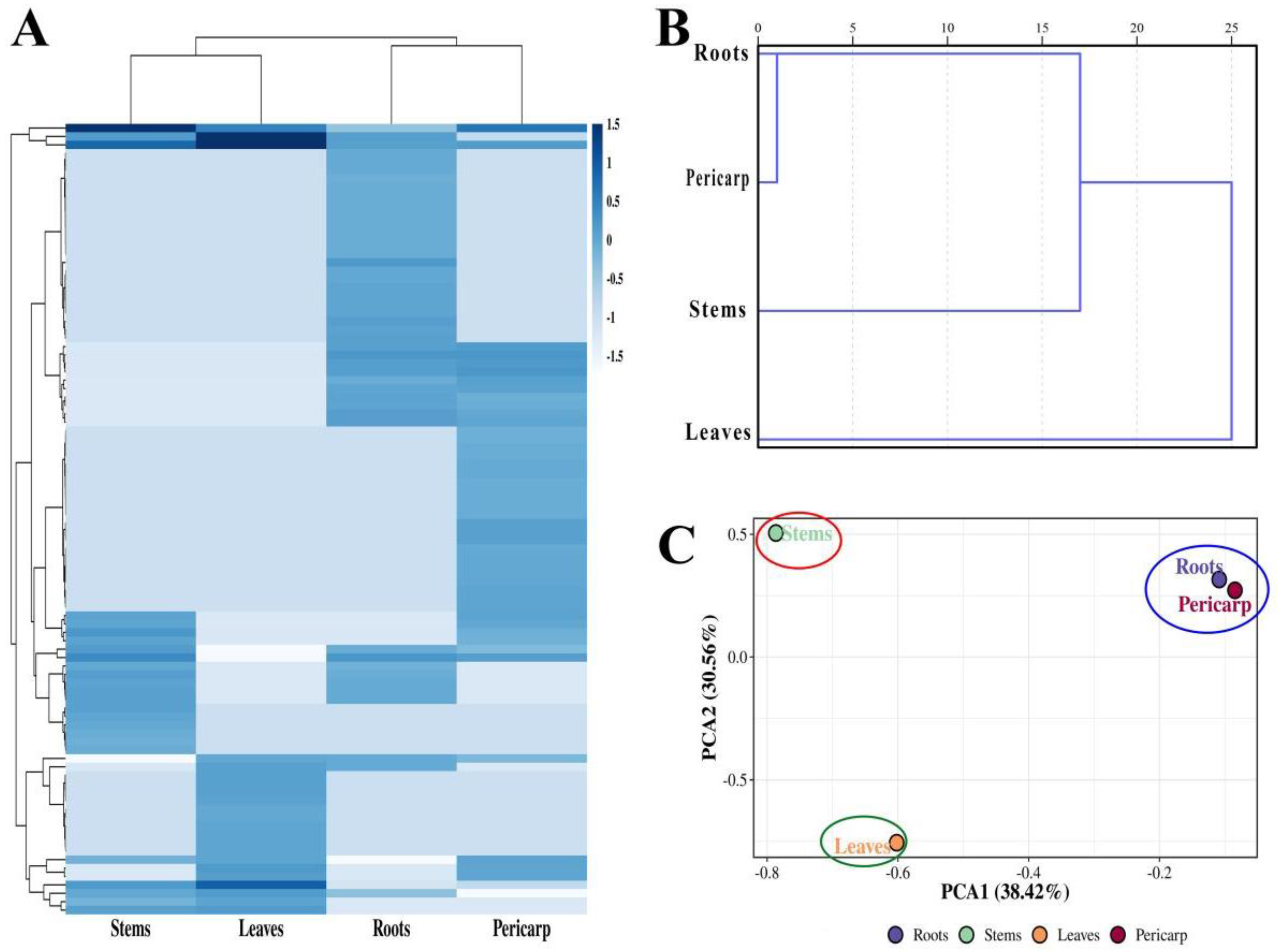 Plants 14 01194 g004