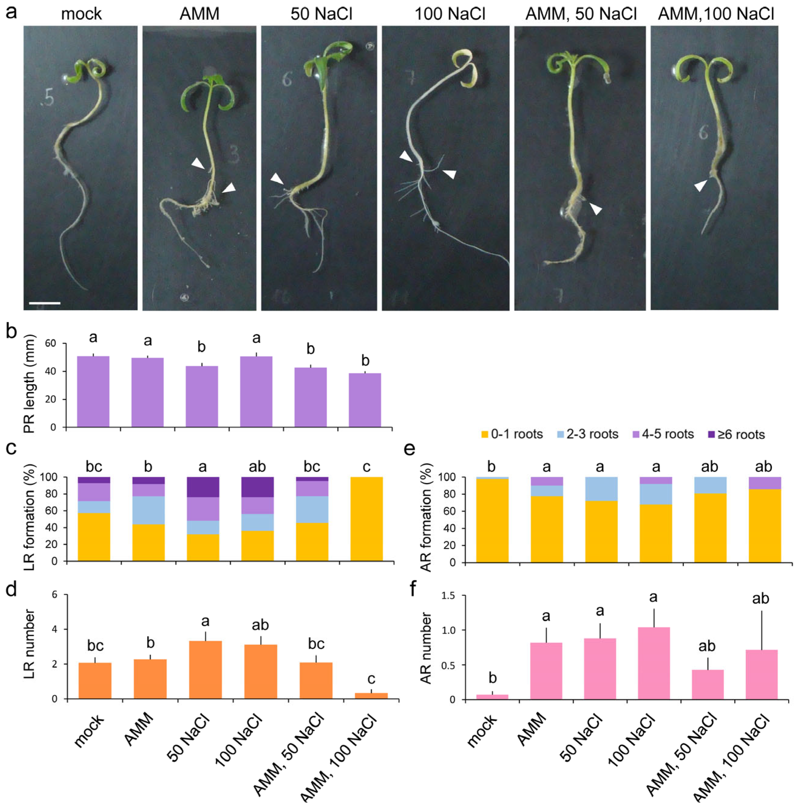 Plants 14 01198 g002