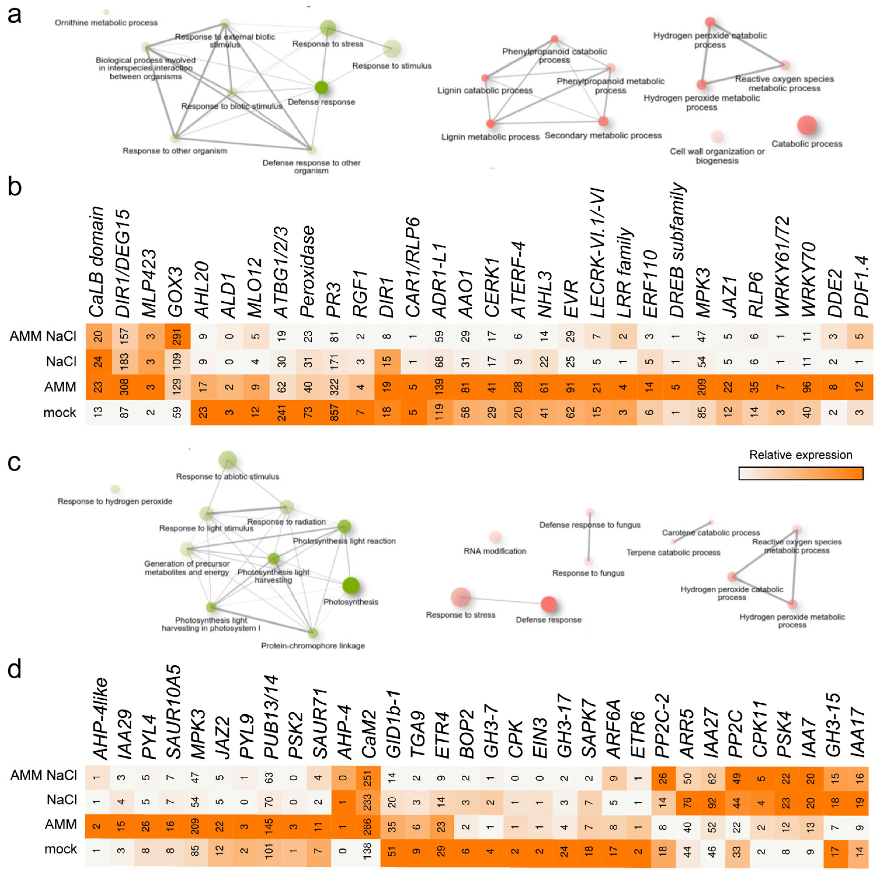 Plants 14 01198 g004