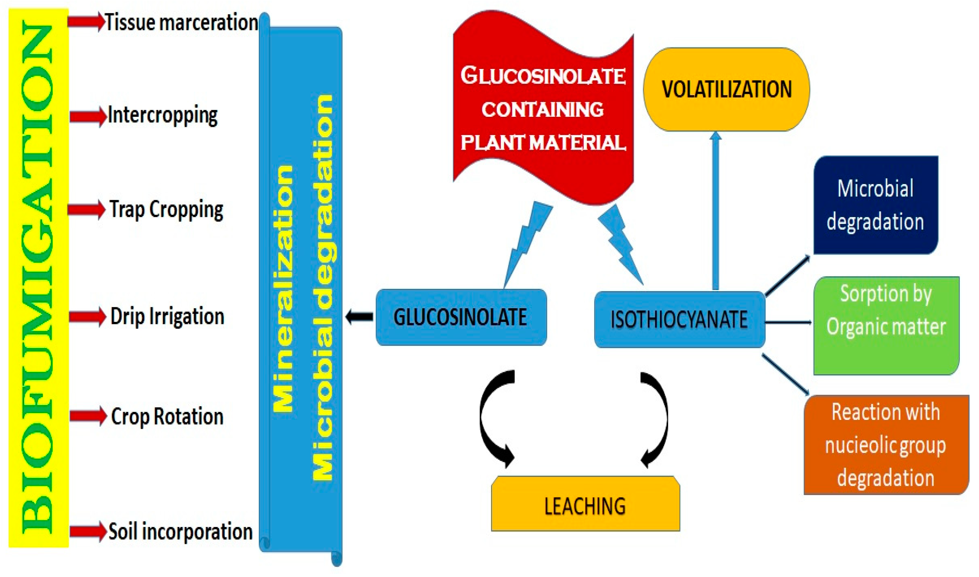 Plants 14 01200 g001