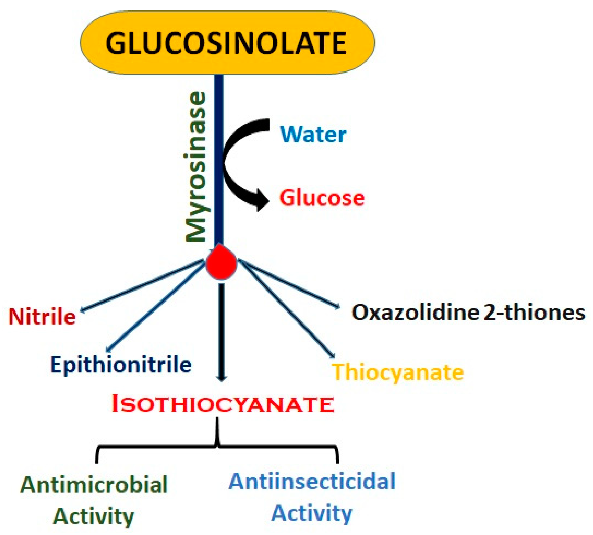 Plants 14 01200 g002
