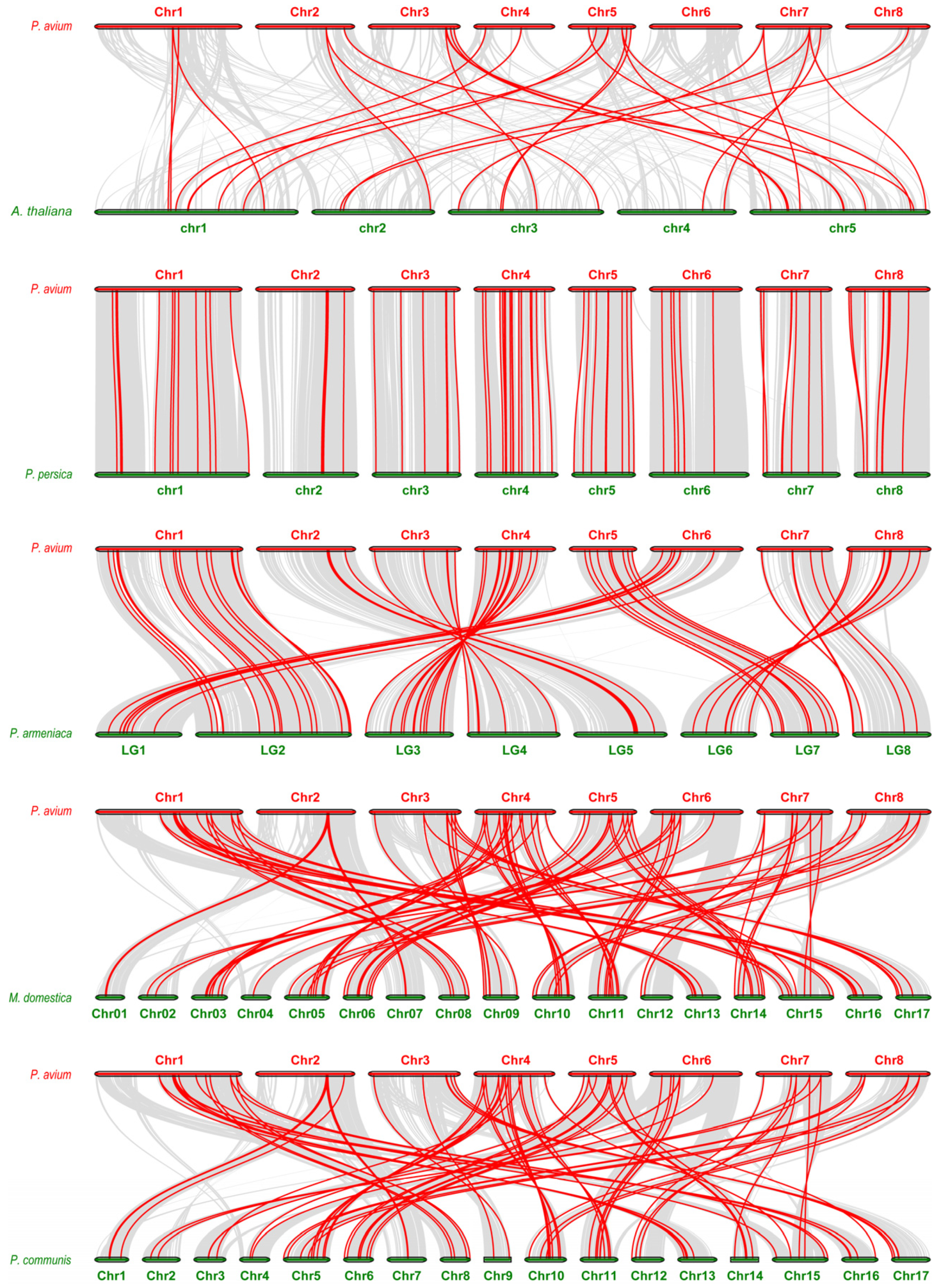 Plants 14 01201 g004