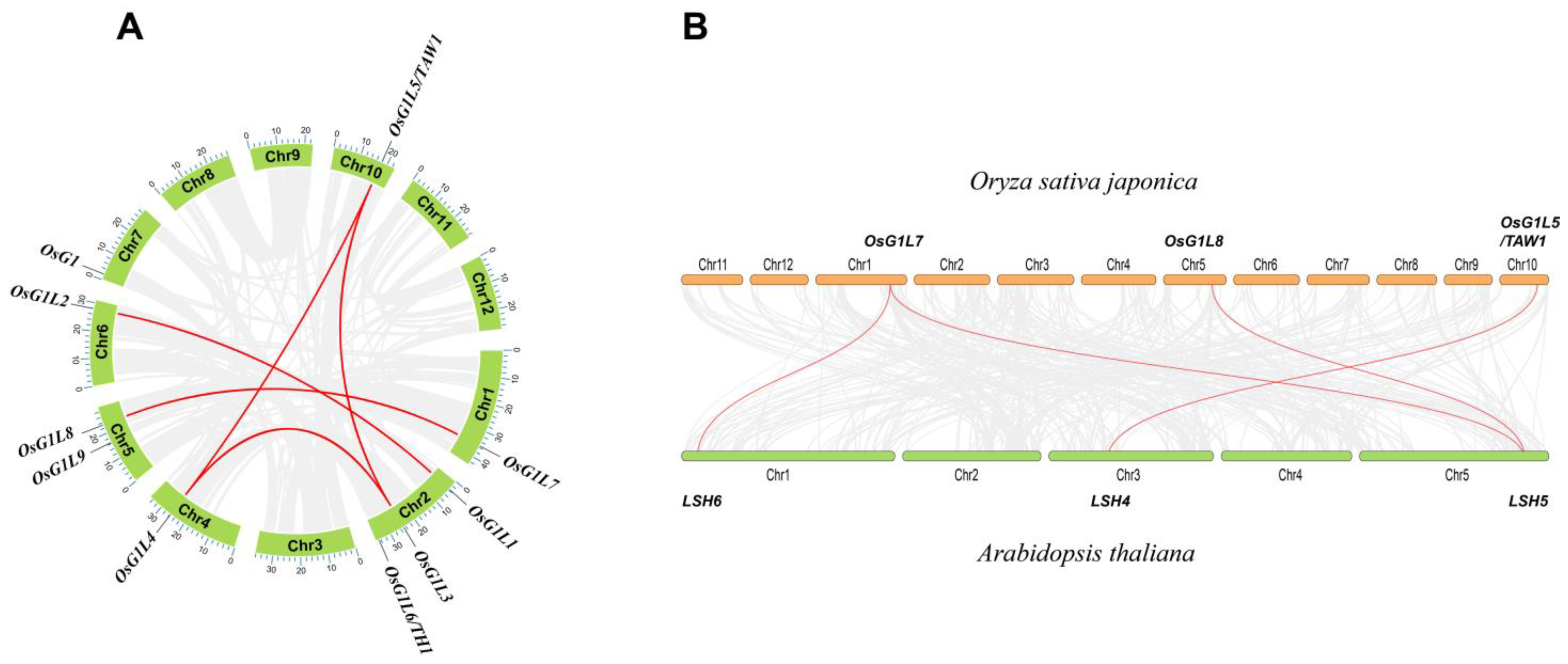 Plants 14 01208 g003