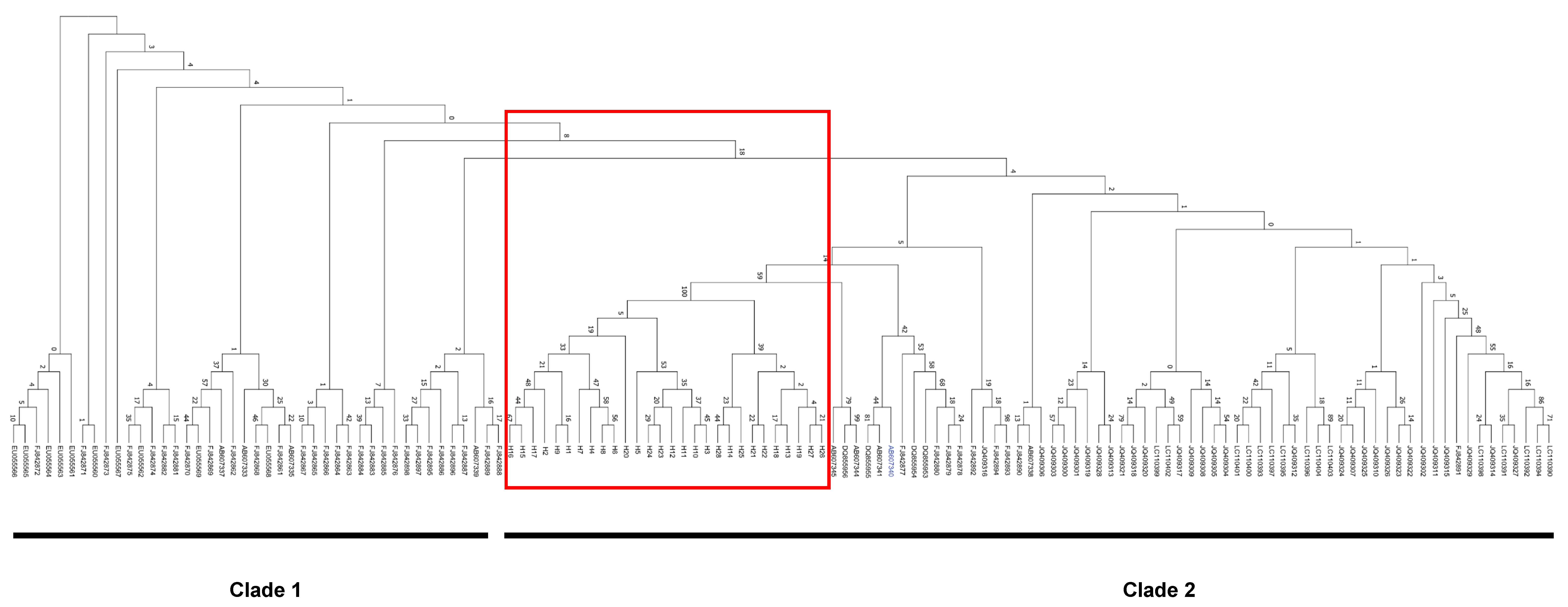 Plants 14 01210 g005