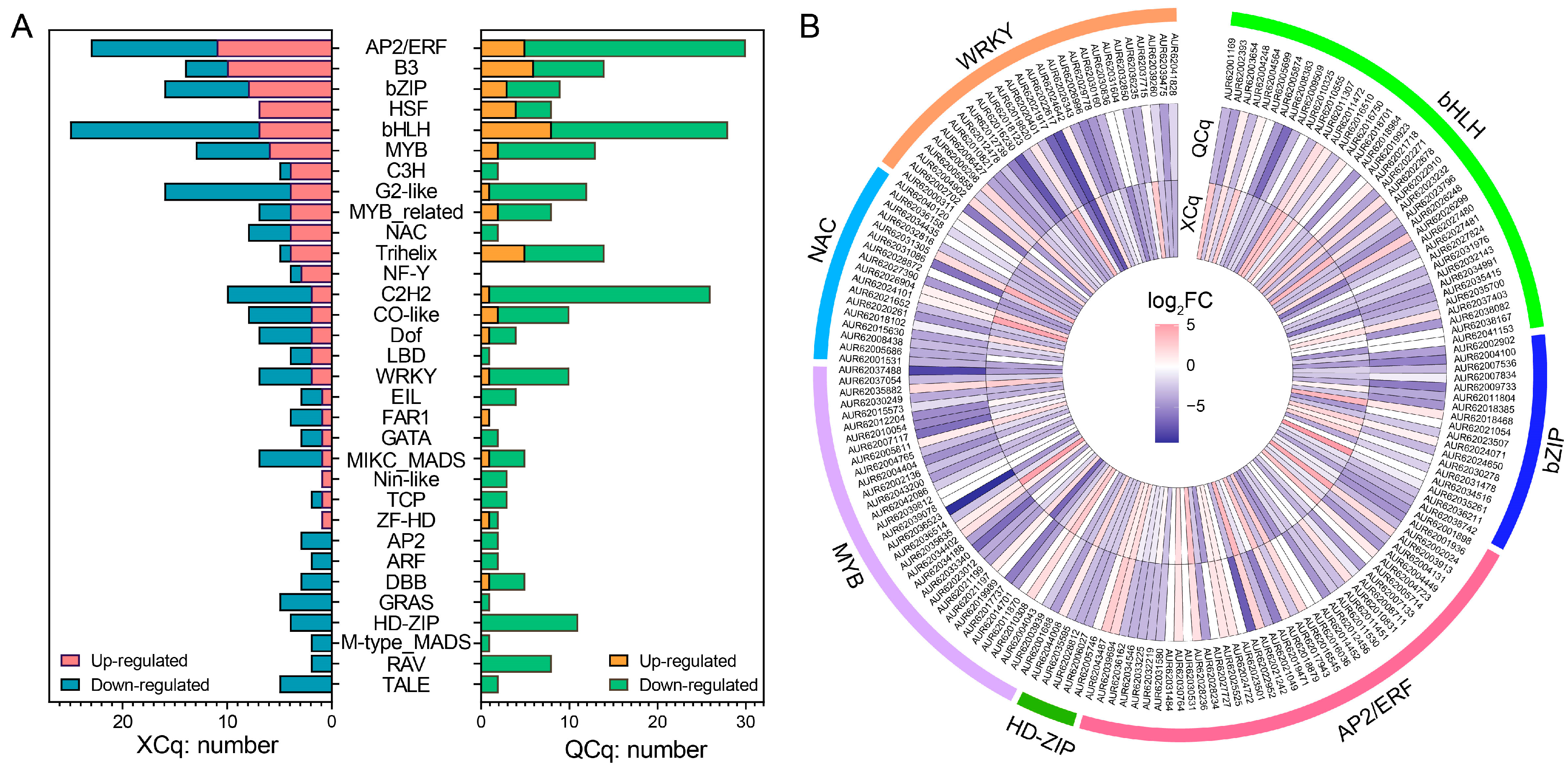 Plants 14 01212 g004