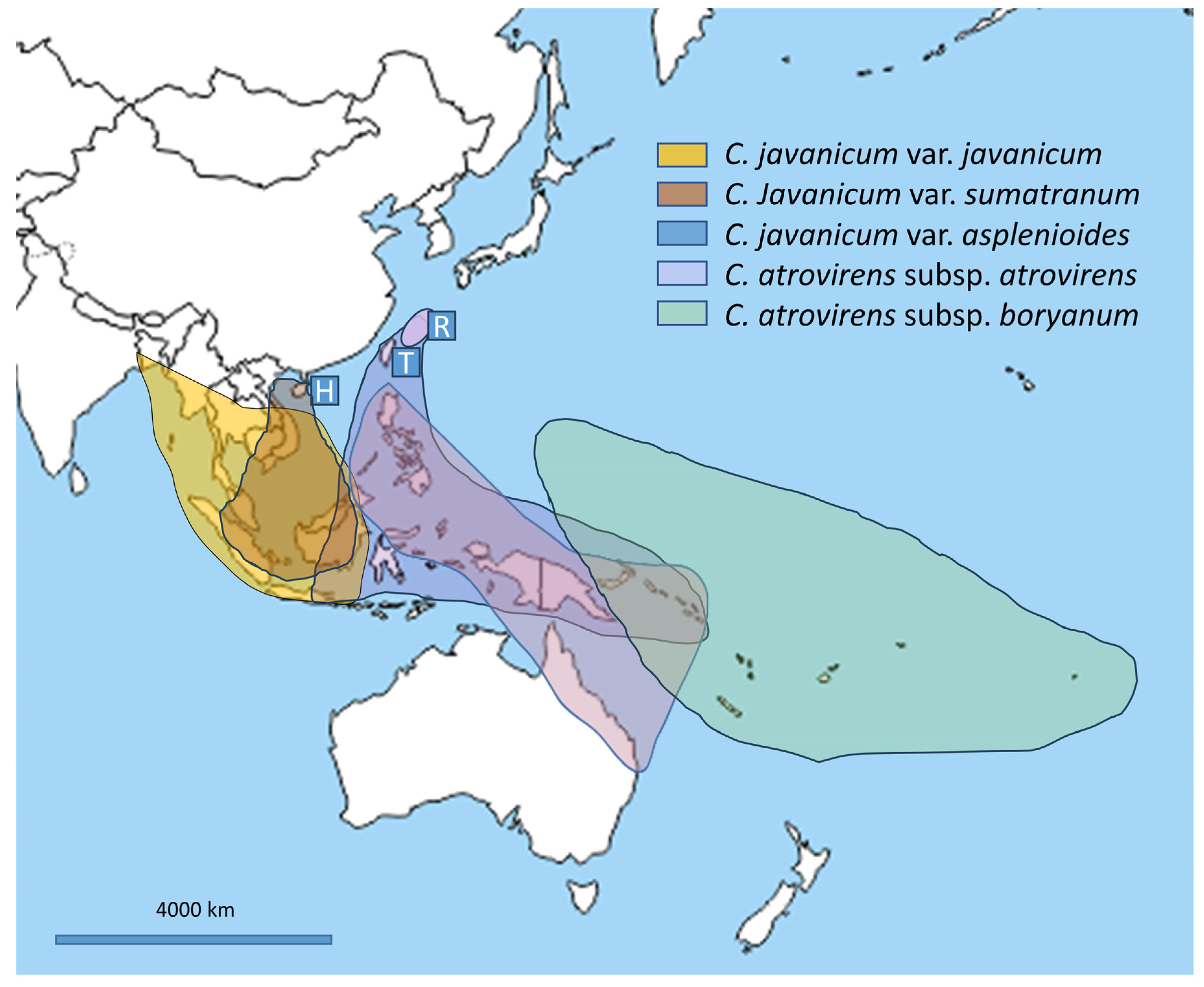 Plants 14 01213 g007