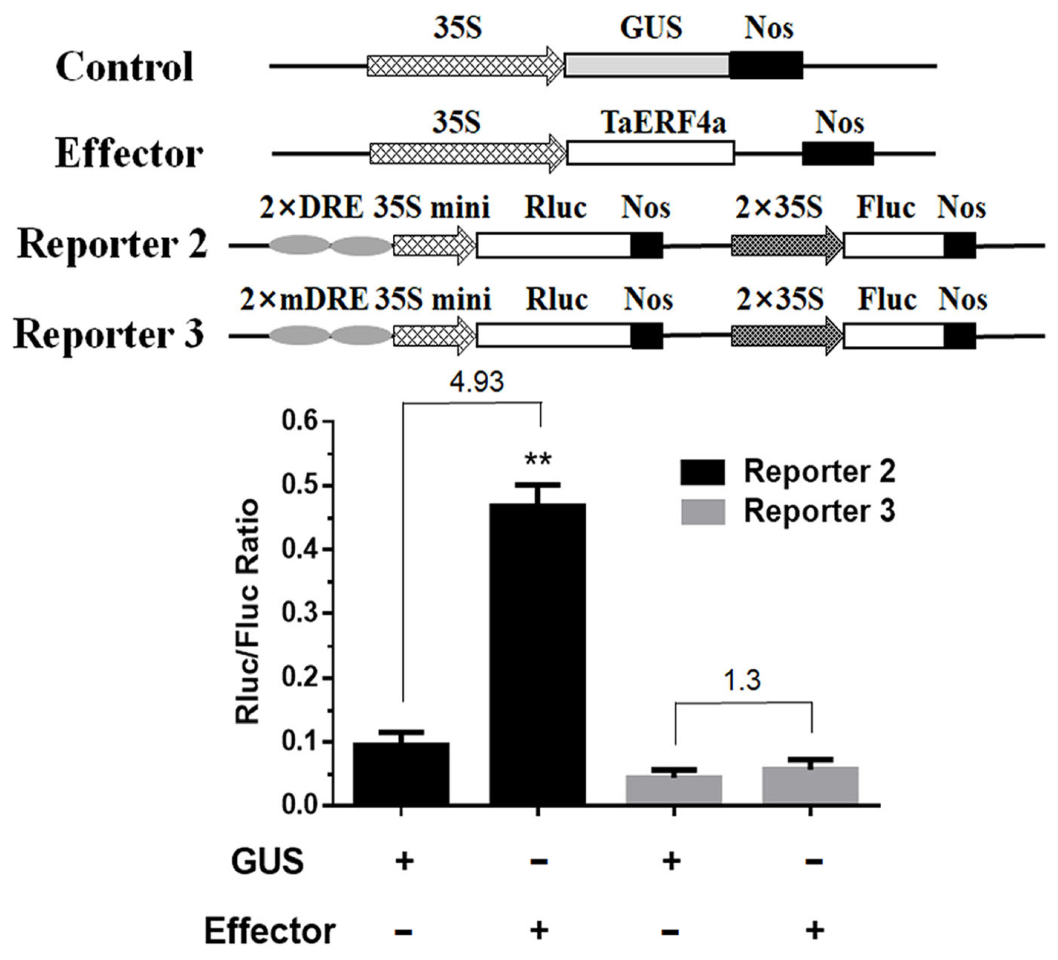 Plants 14 01214 g005