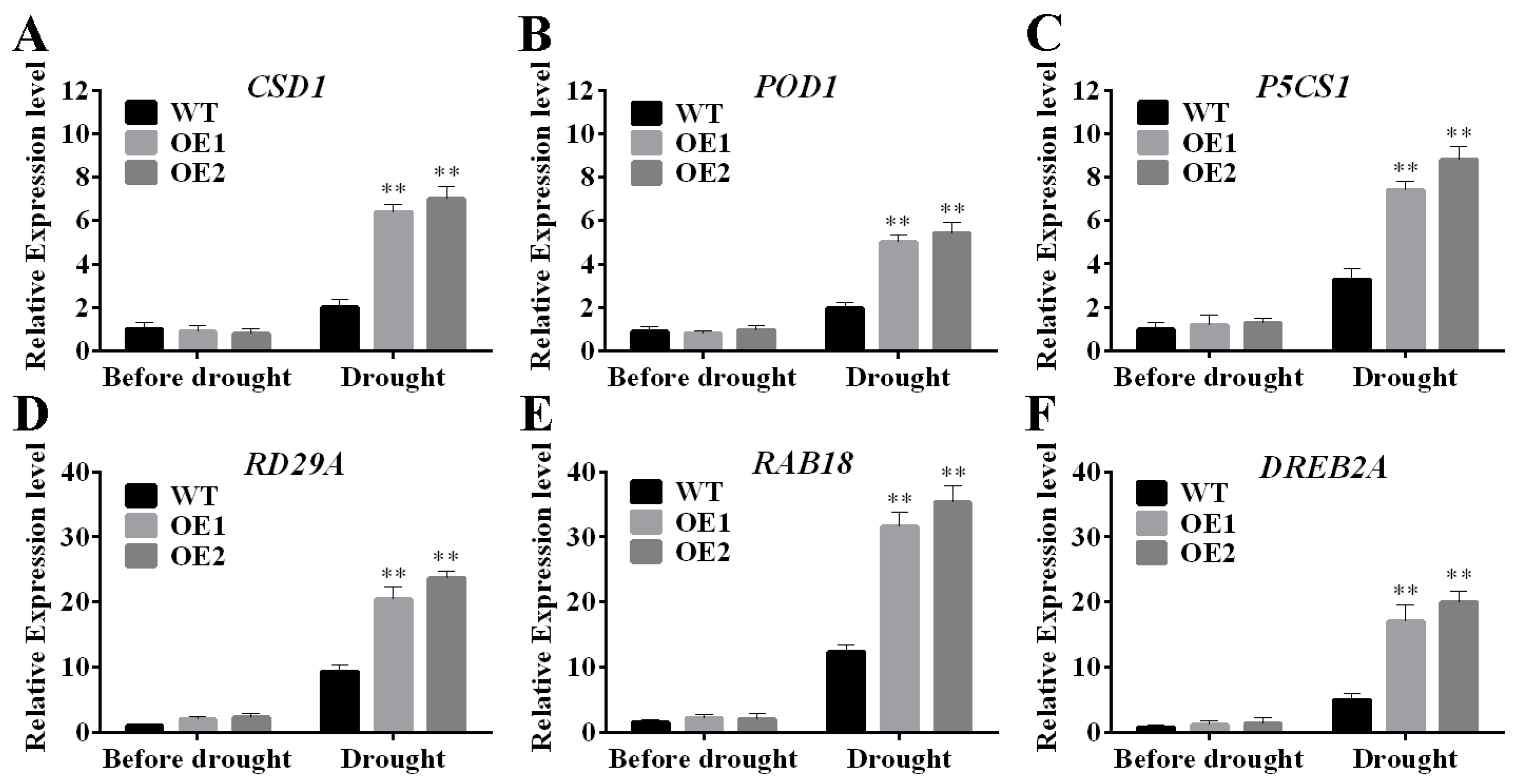 Plants 14 01214 g006
