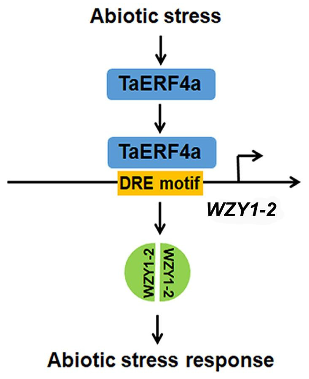 Plants 14 01214 g007
