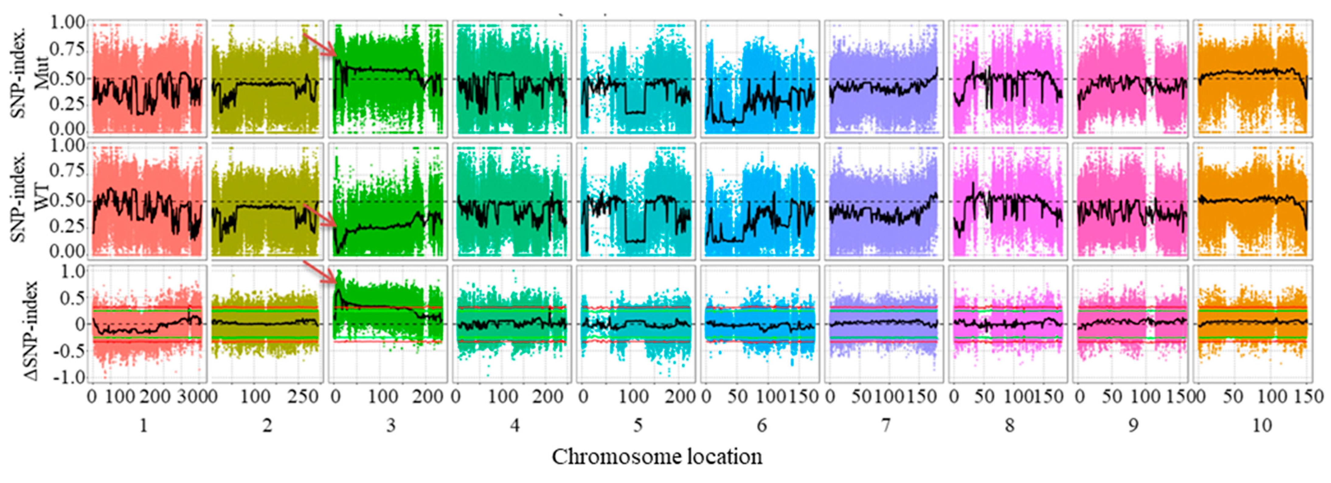 Plants 14 01217 g002