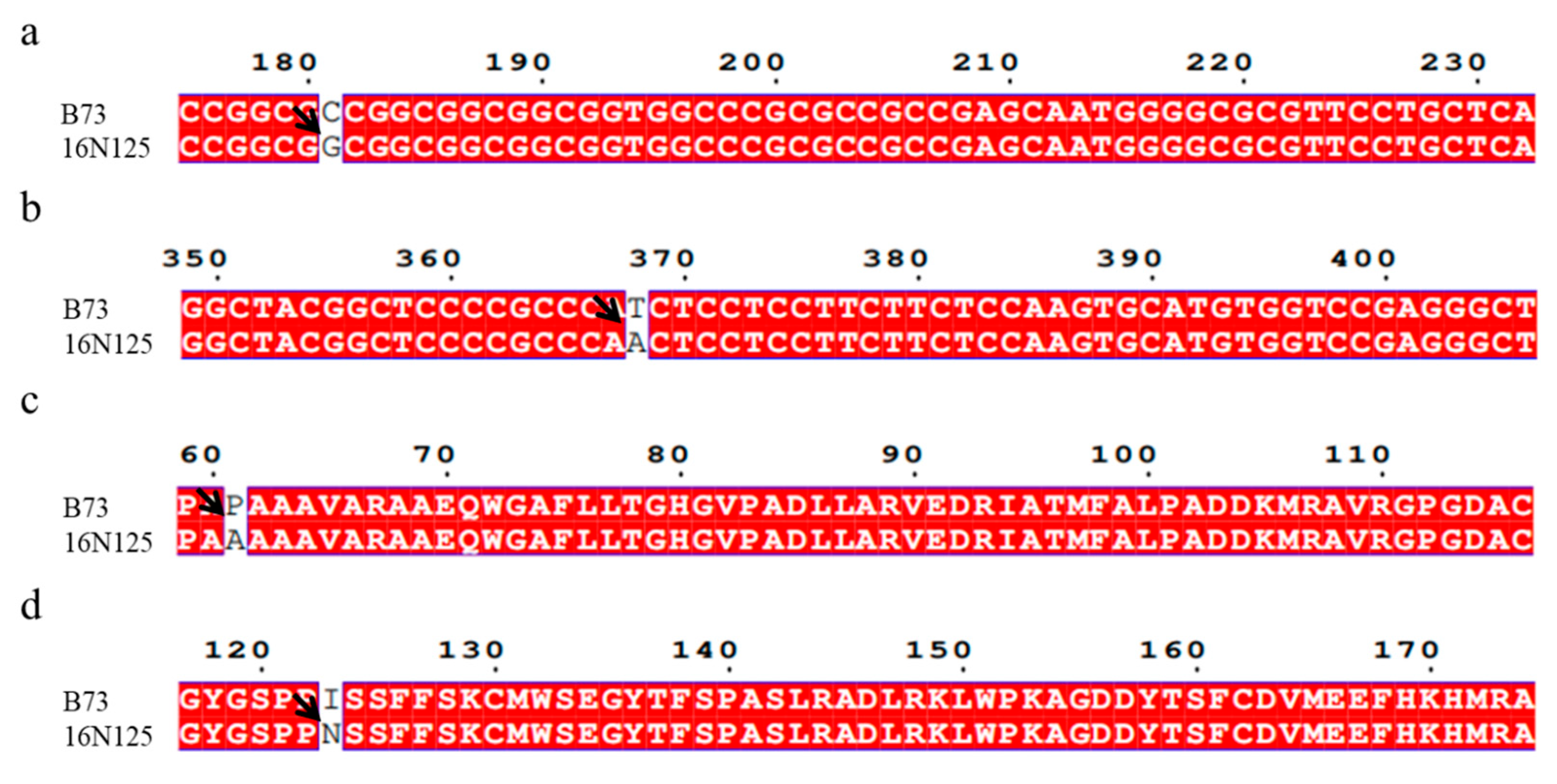 Plants 14 01217 g004