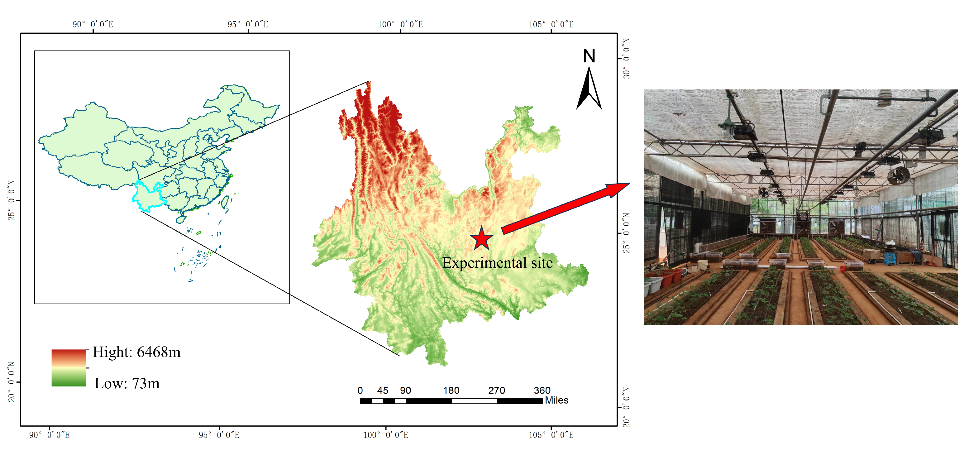 Plants 14 01226 g001