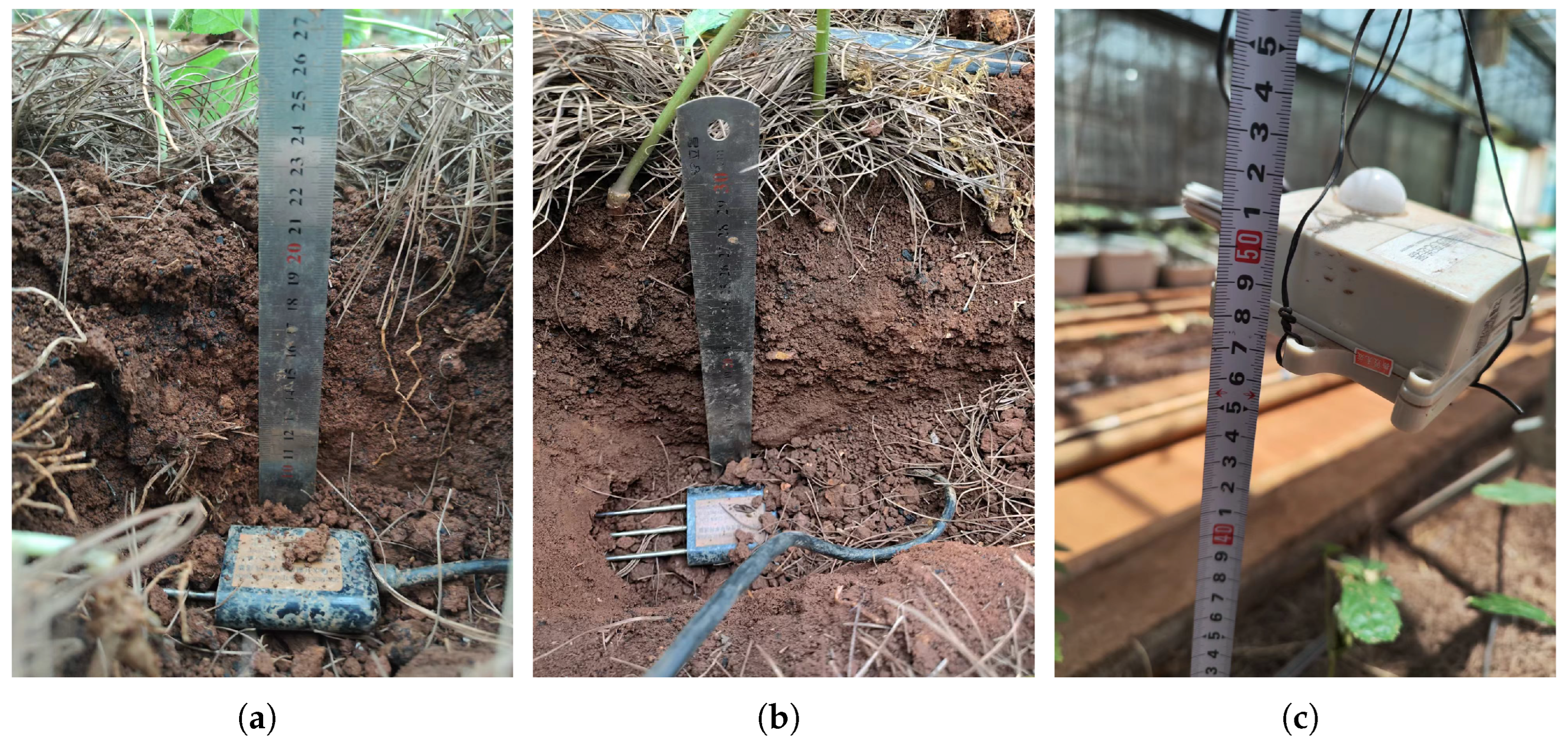 Plants 14 01226 g003