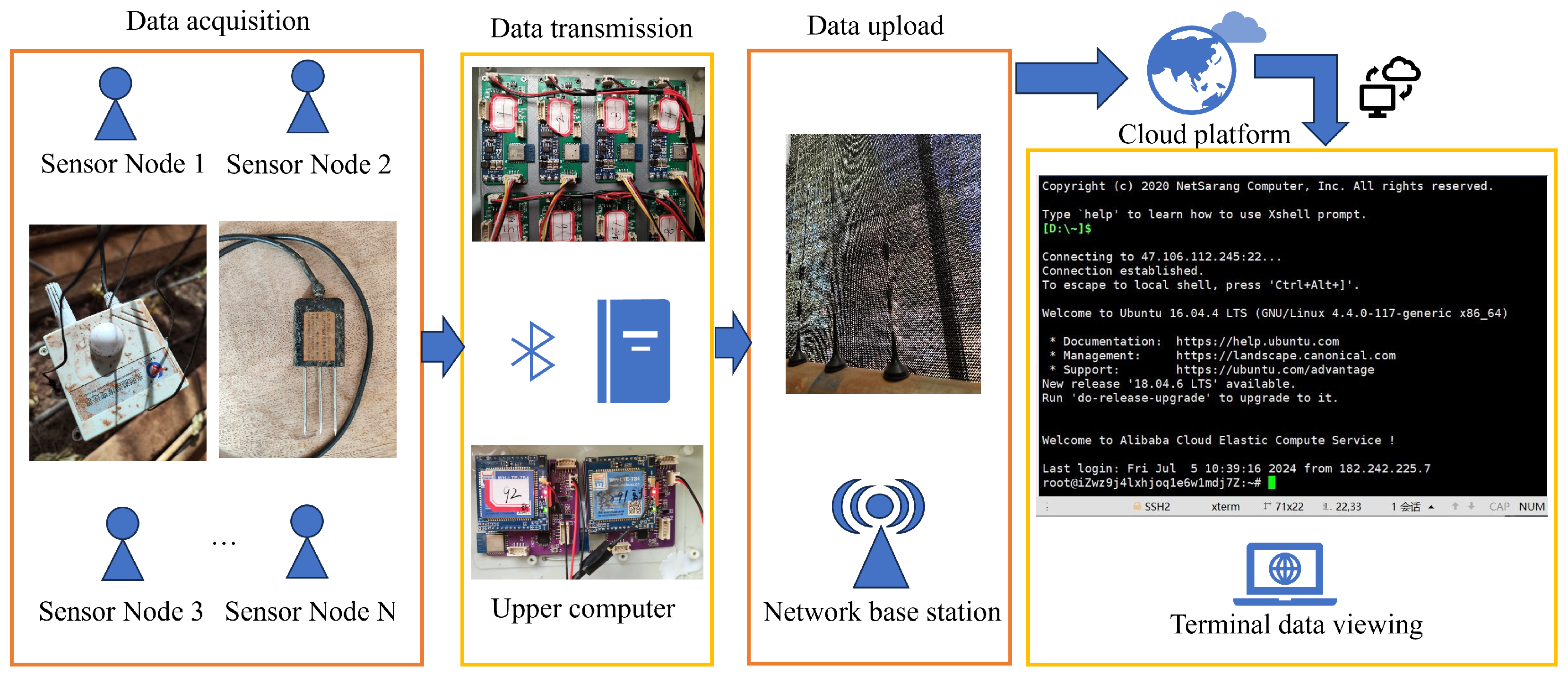 Plants 14 01226 g004