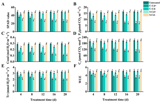 Temporal Dynamics of Physiological Integration Intensity in