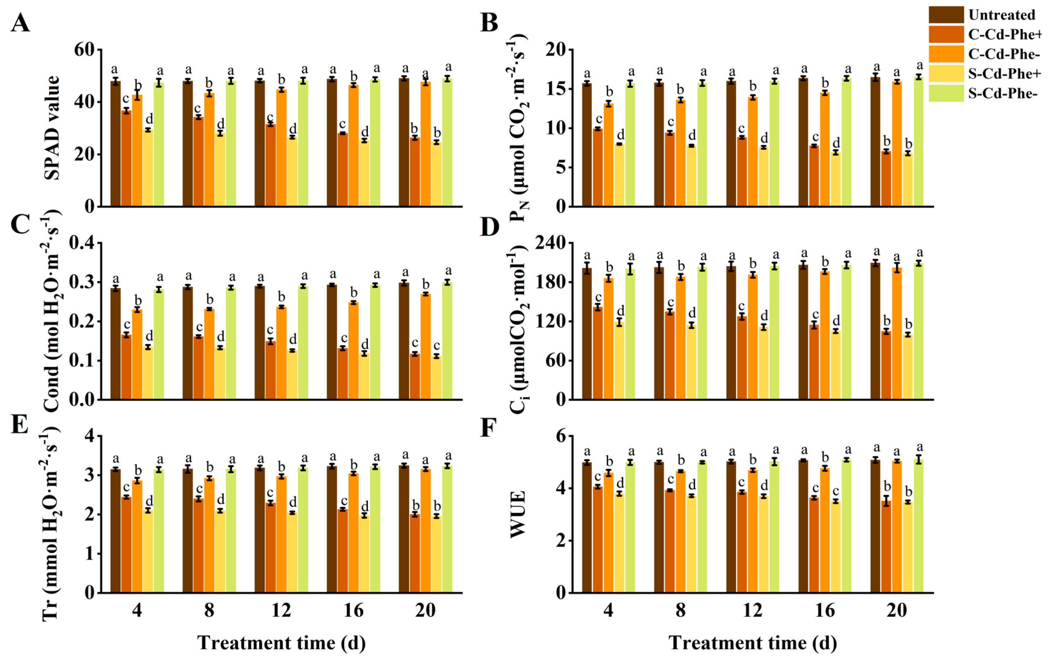 Temporal Dynamics of Physiological Integration Intensity in