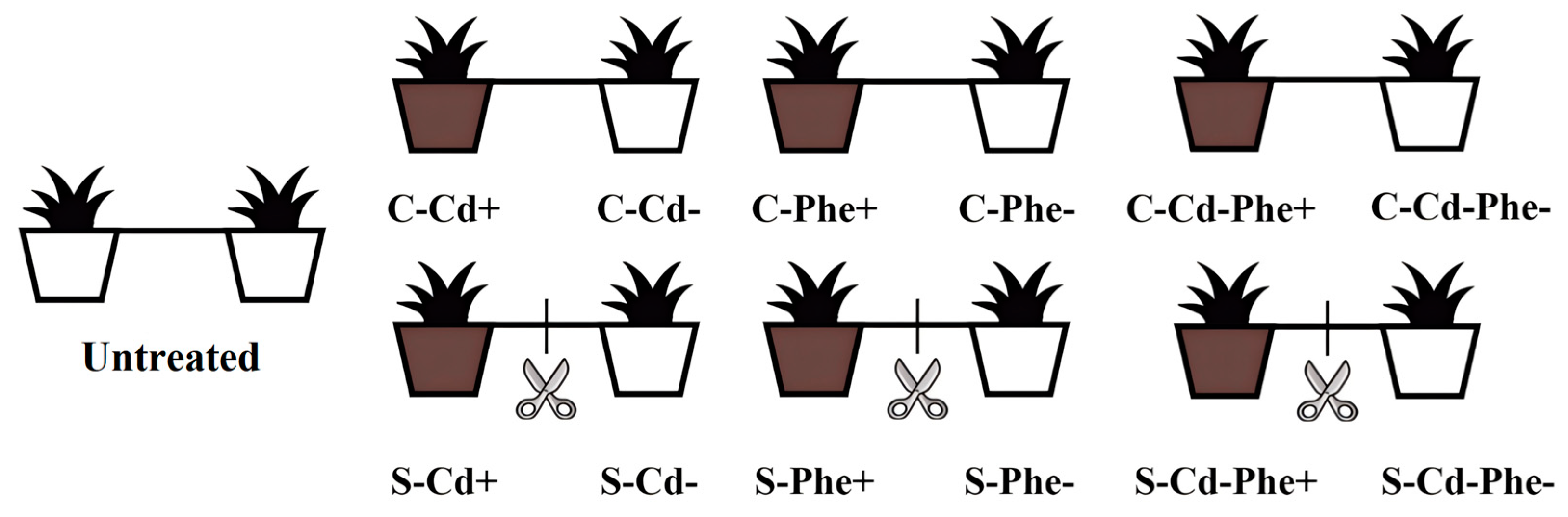 Recent Progress on Designing Carbon Materials by Structural