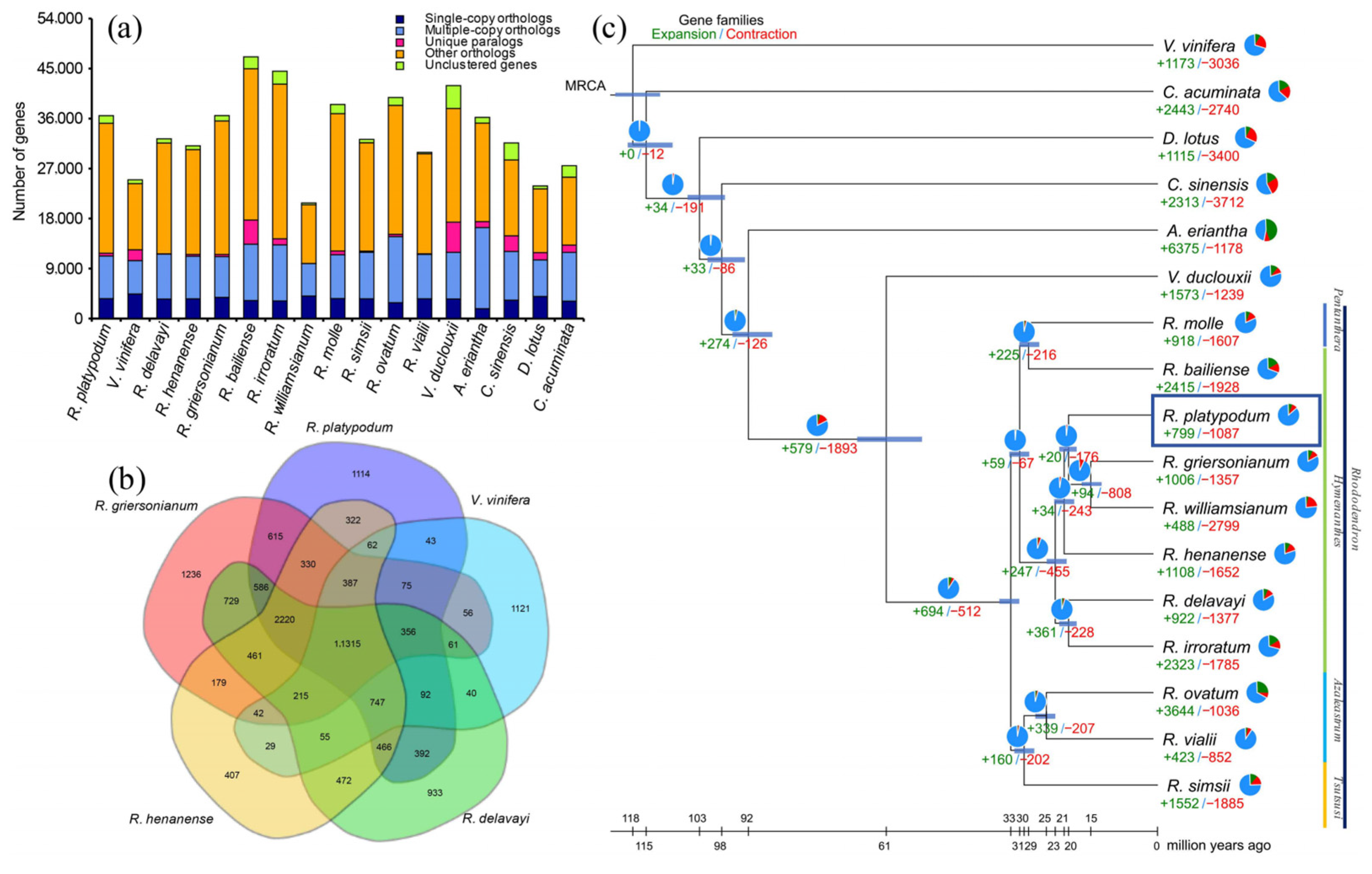 Plants 14 01233 g001