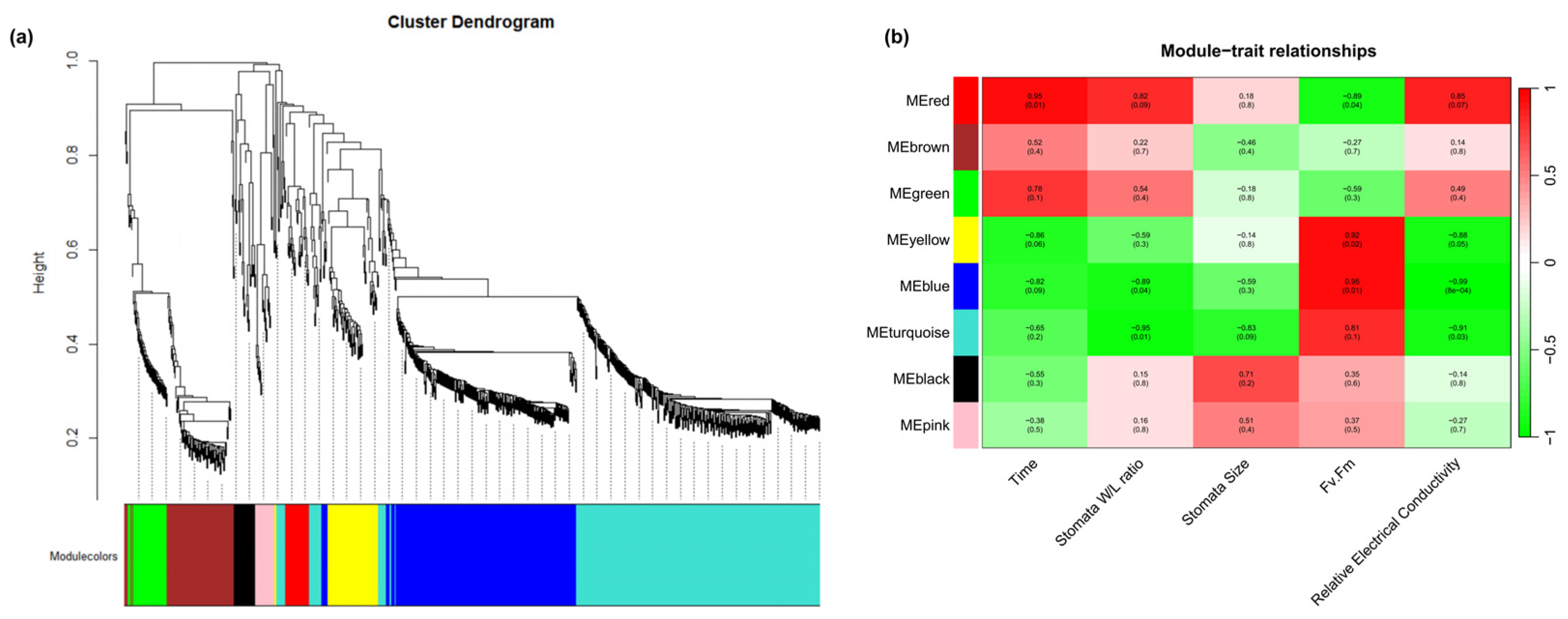 Plants 14 01233 g004