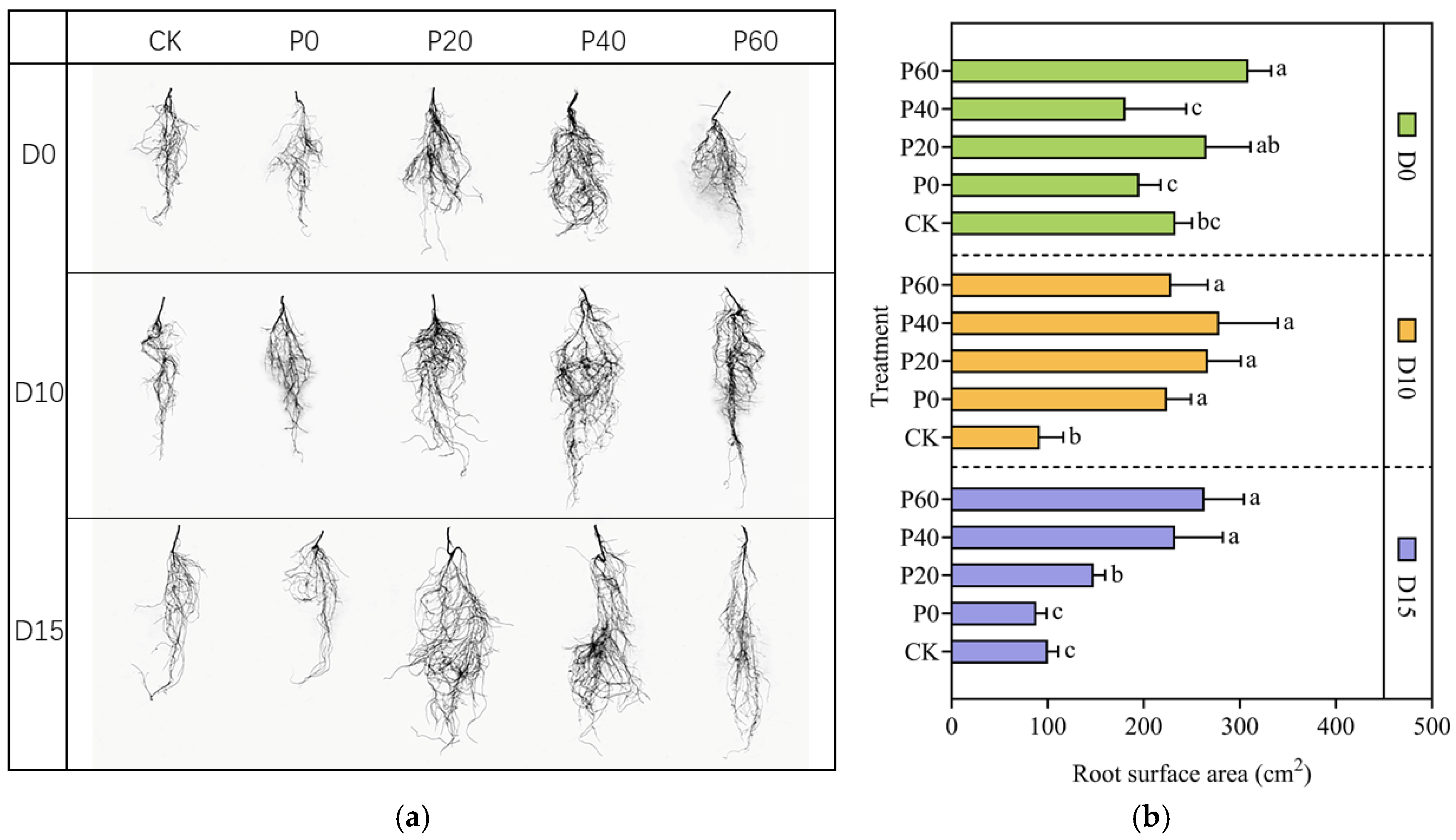 Plants 14 01236 g007