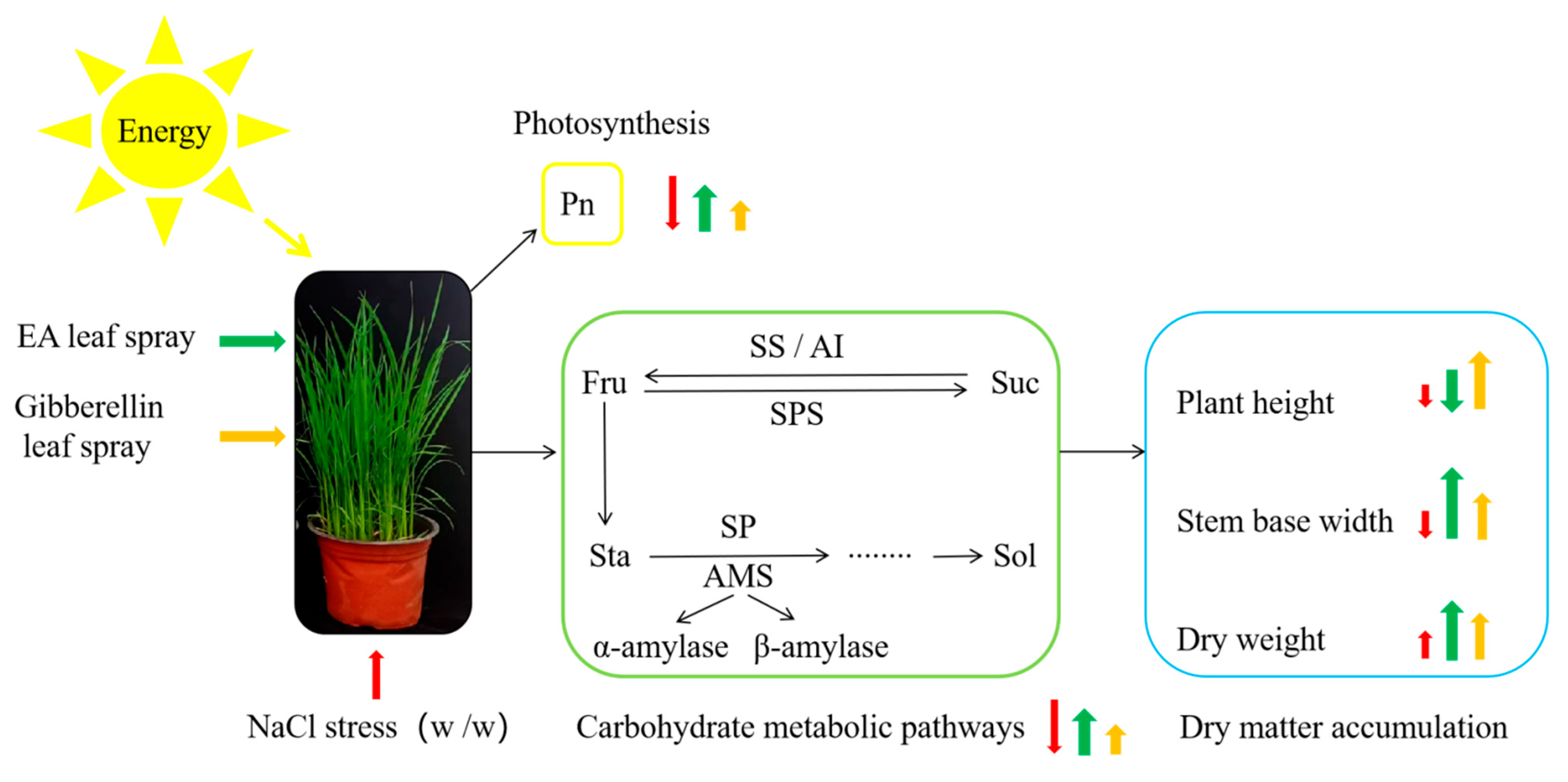 Plants 14 01240 g008