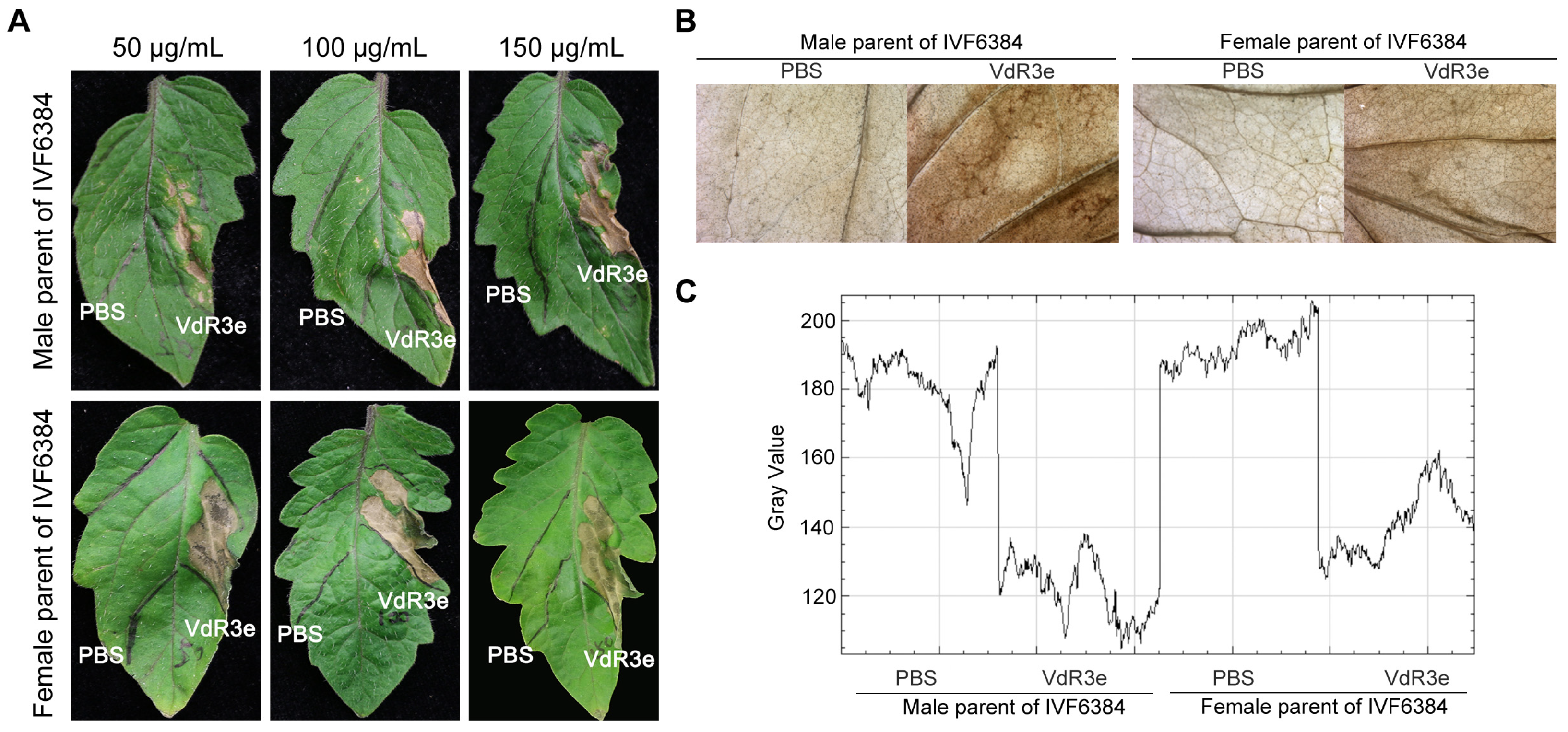 Plants 14 01243 g001