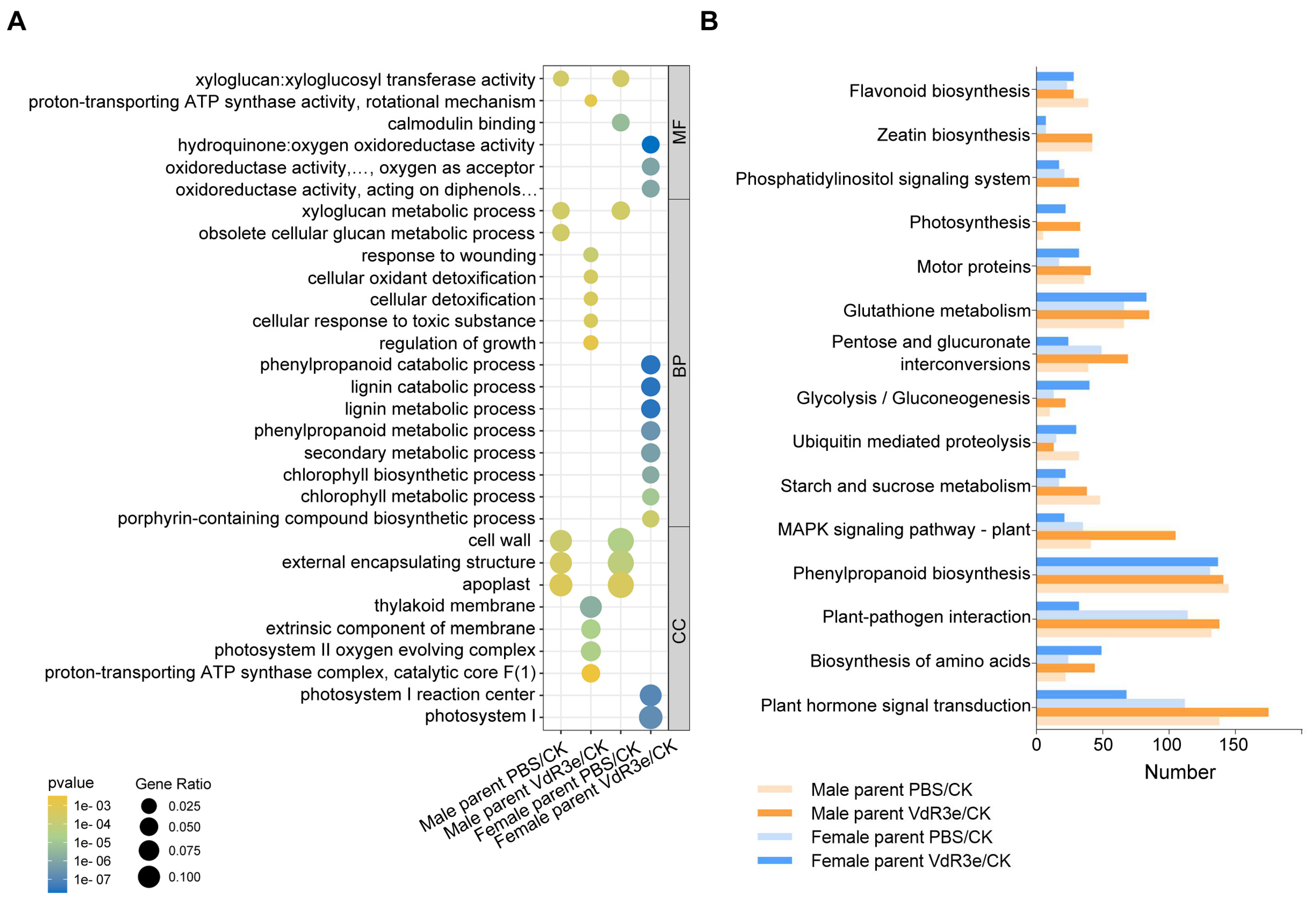 Plants 14 01243 g003