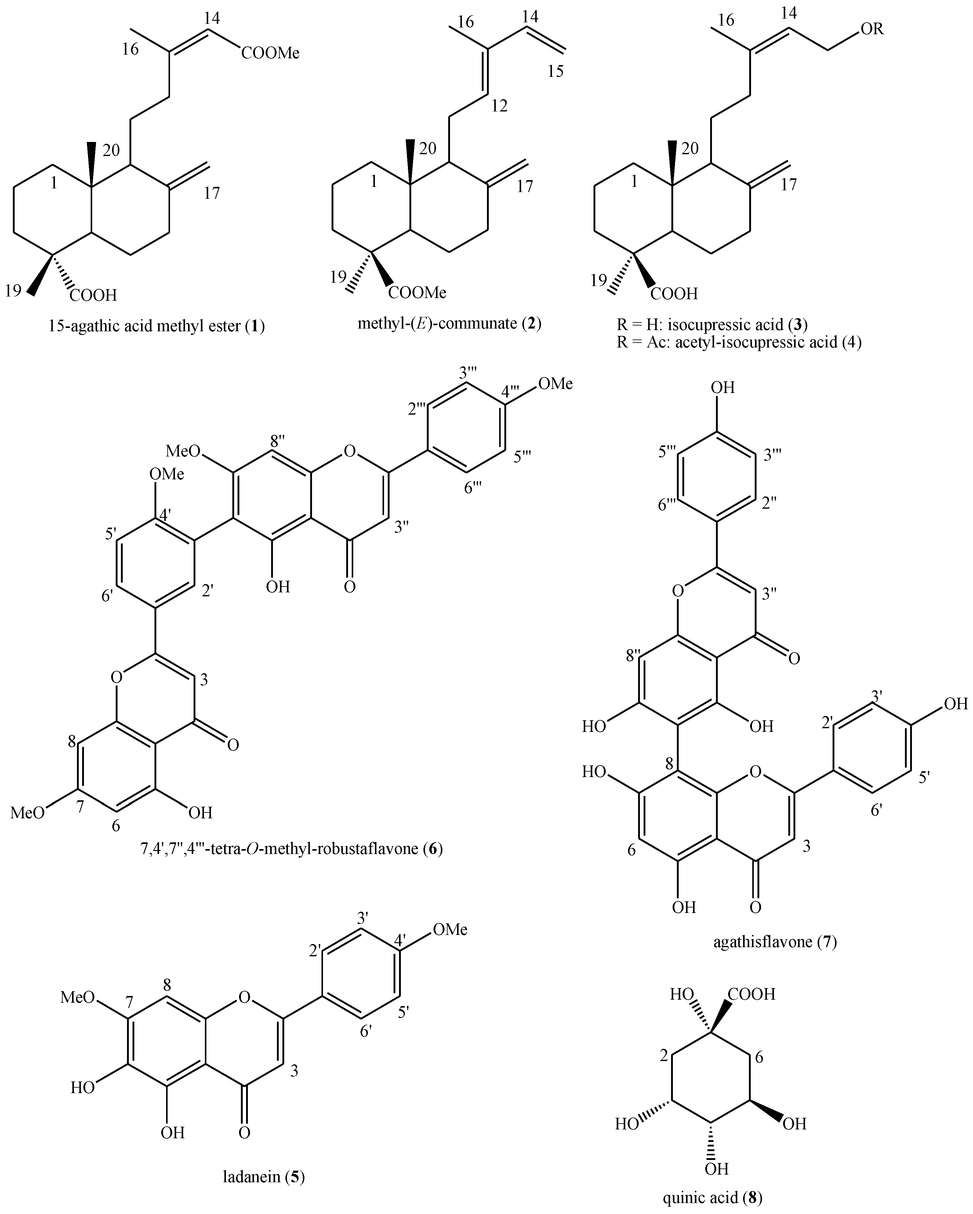 Plants 14 01244 g001