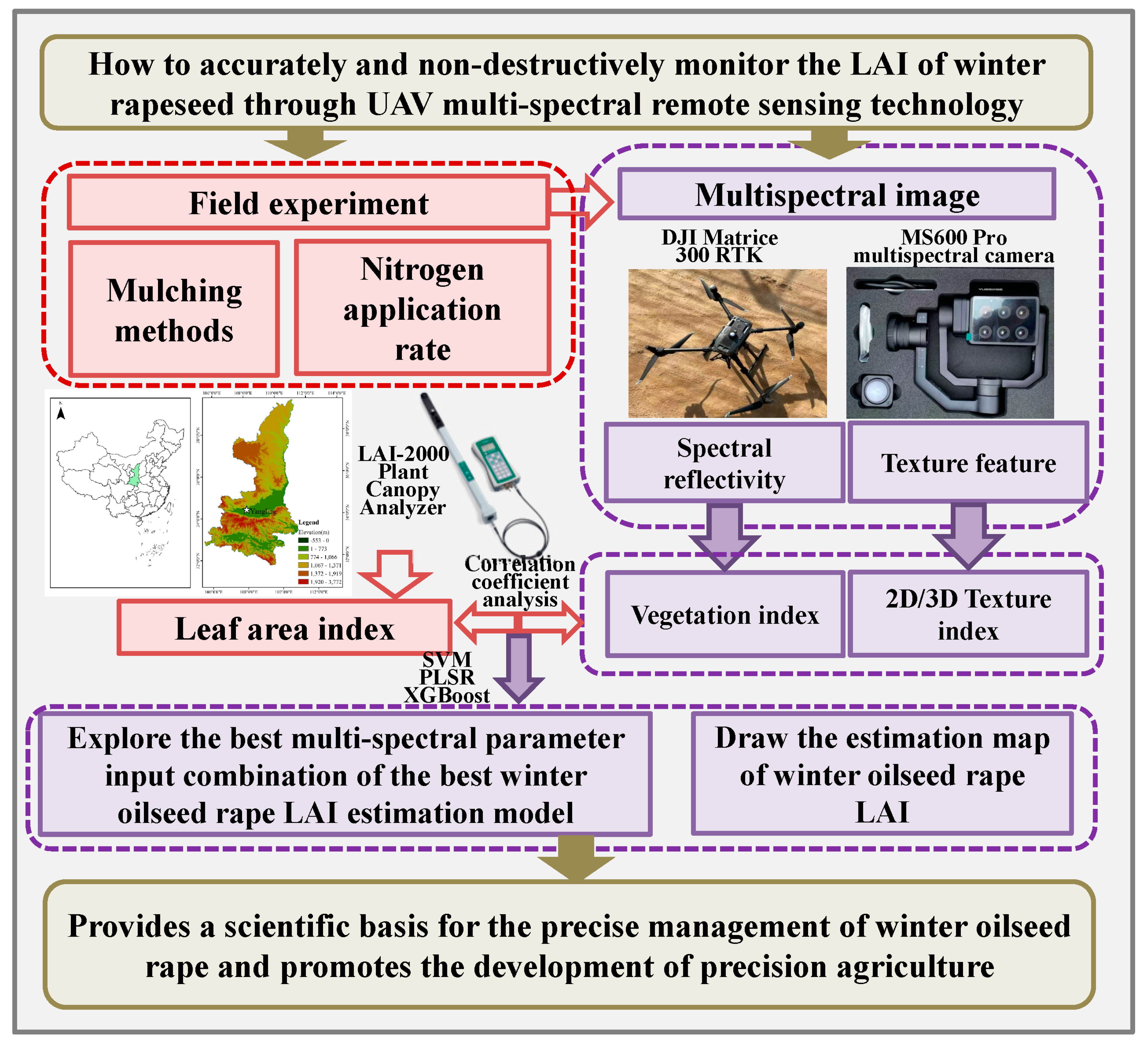 Plants 14 01245 g002