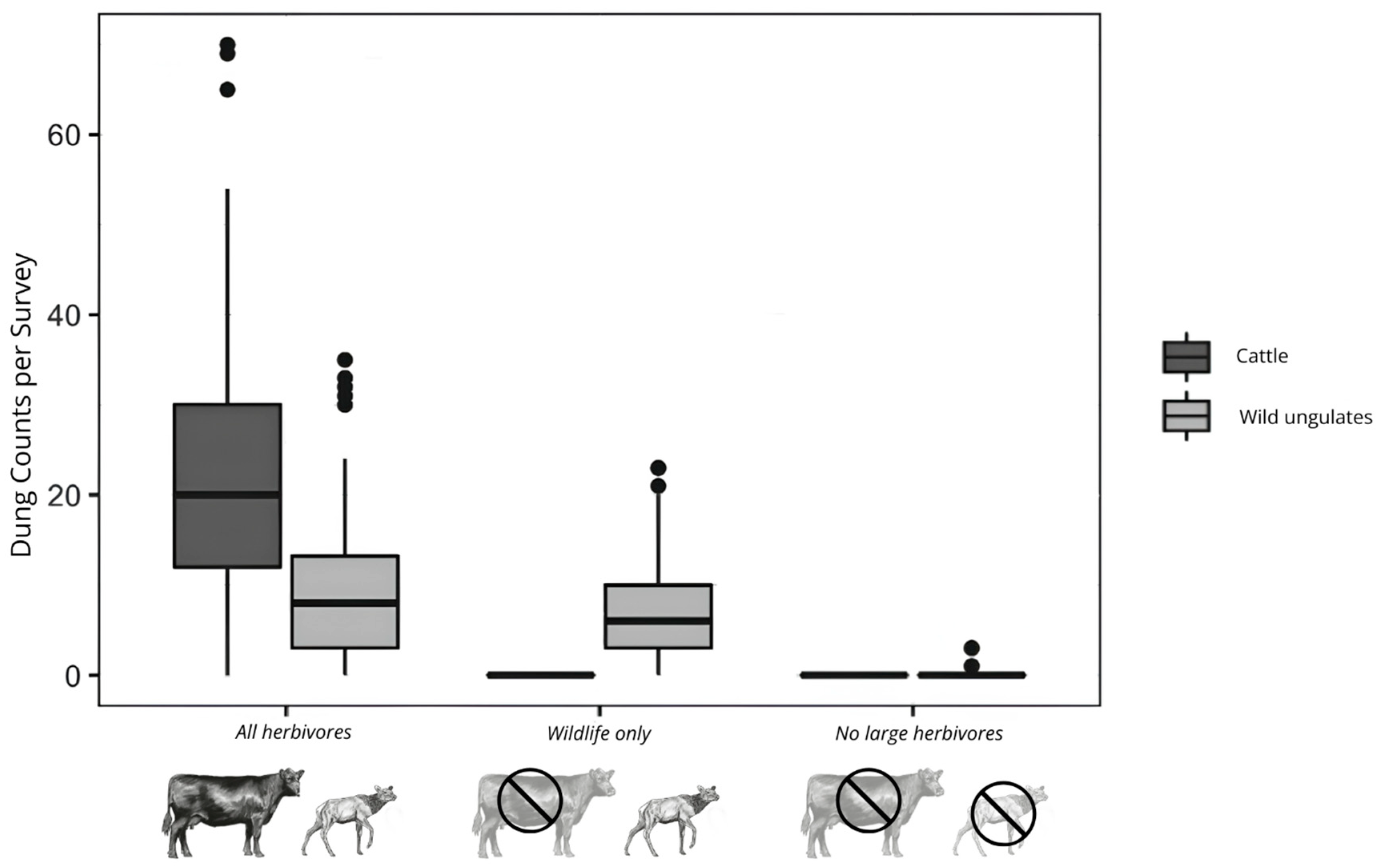 Plants 14 01249 g004