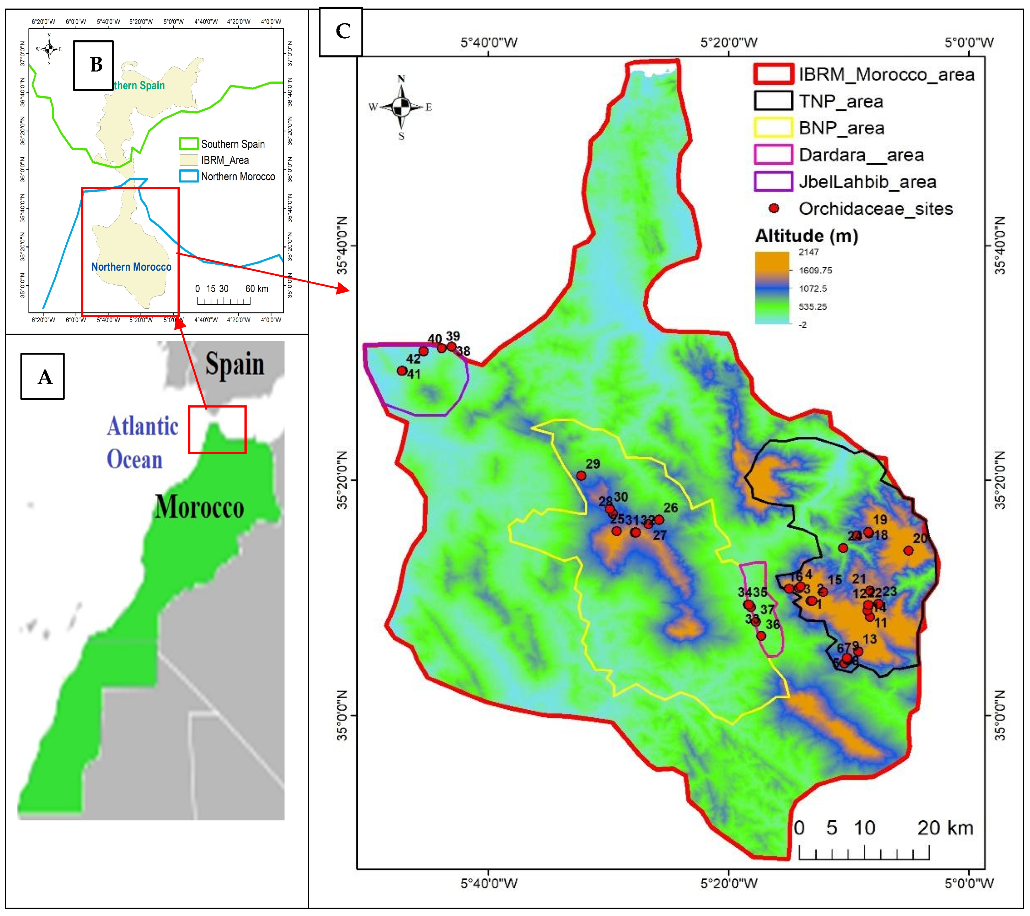 Plants 14 01254 g001