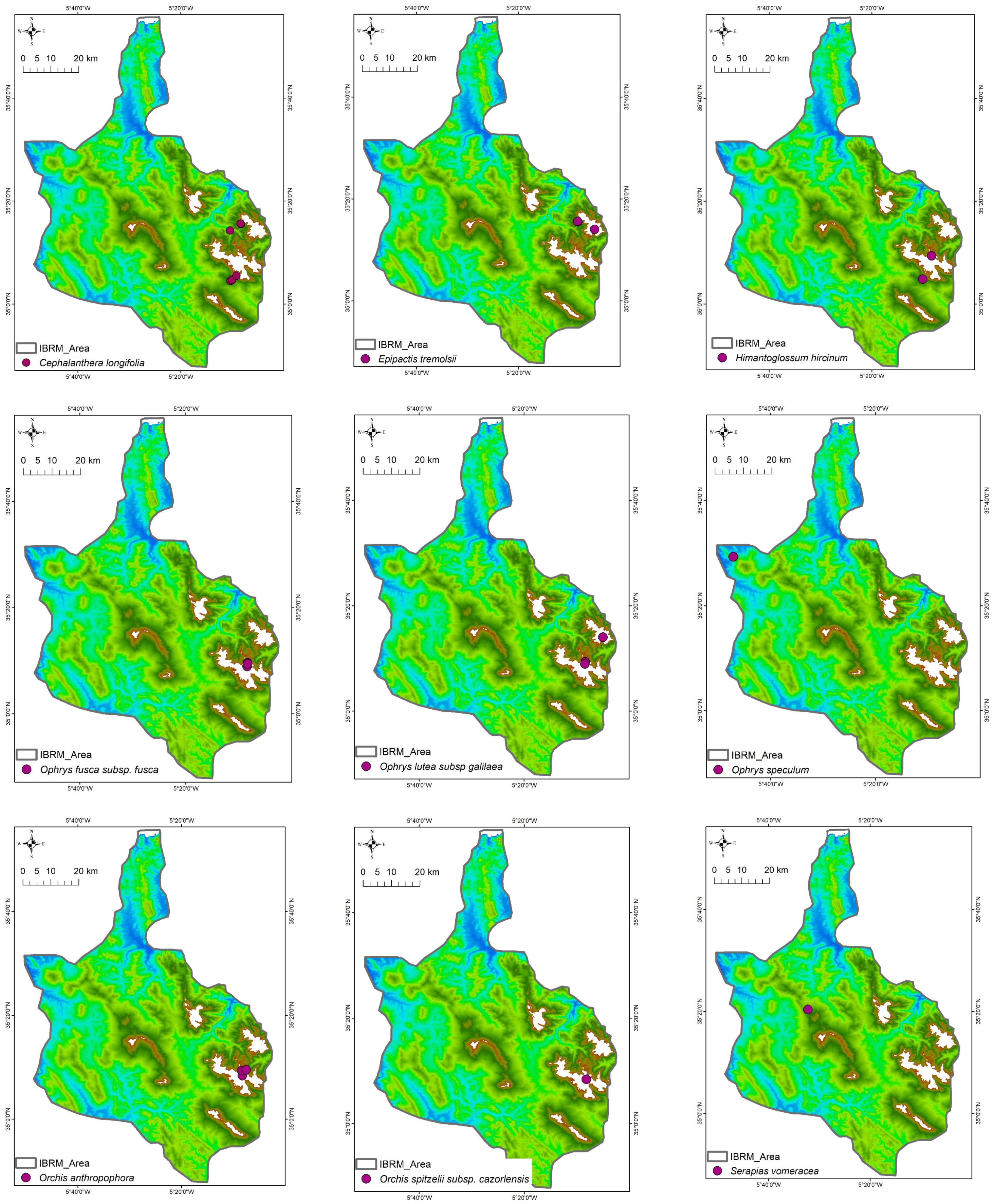 Plants 14 01254 g002