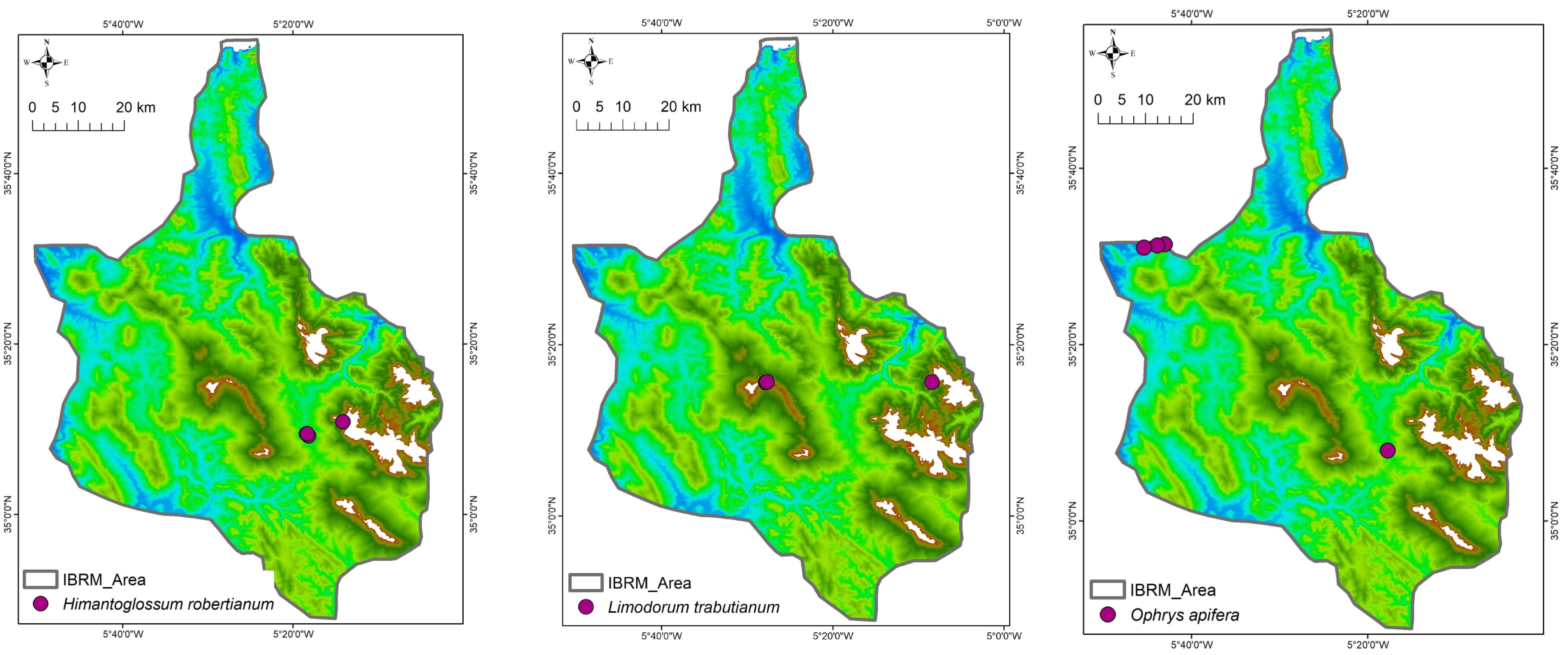 Plants 14 01254 g003a