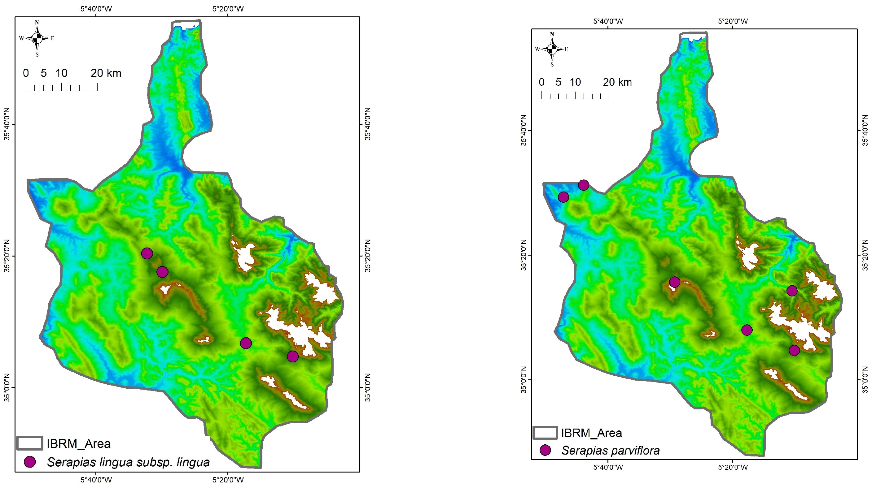Plants 14 01254 g004