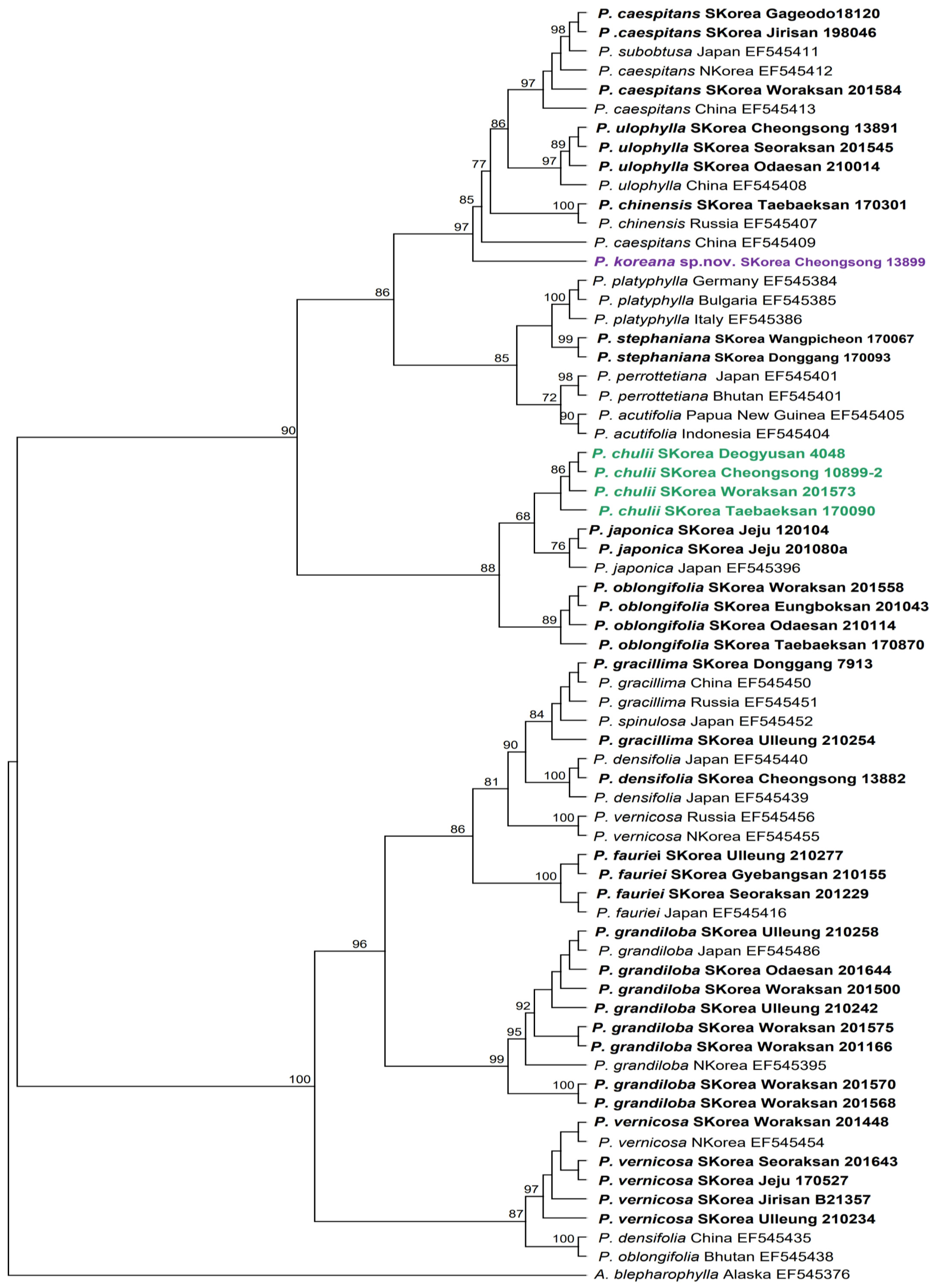 Plants 14 01260 g001