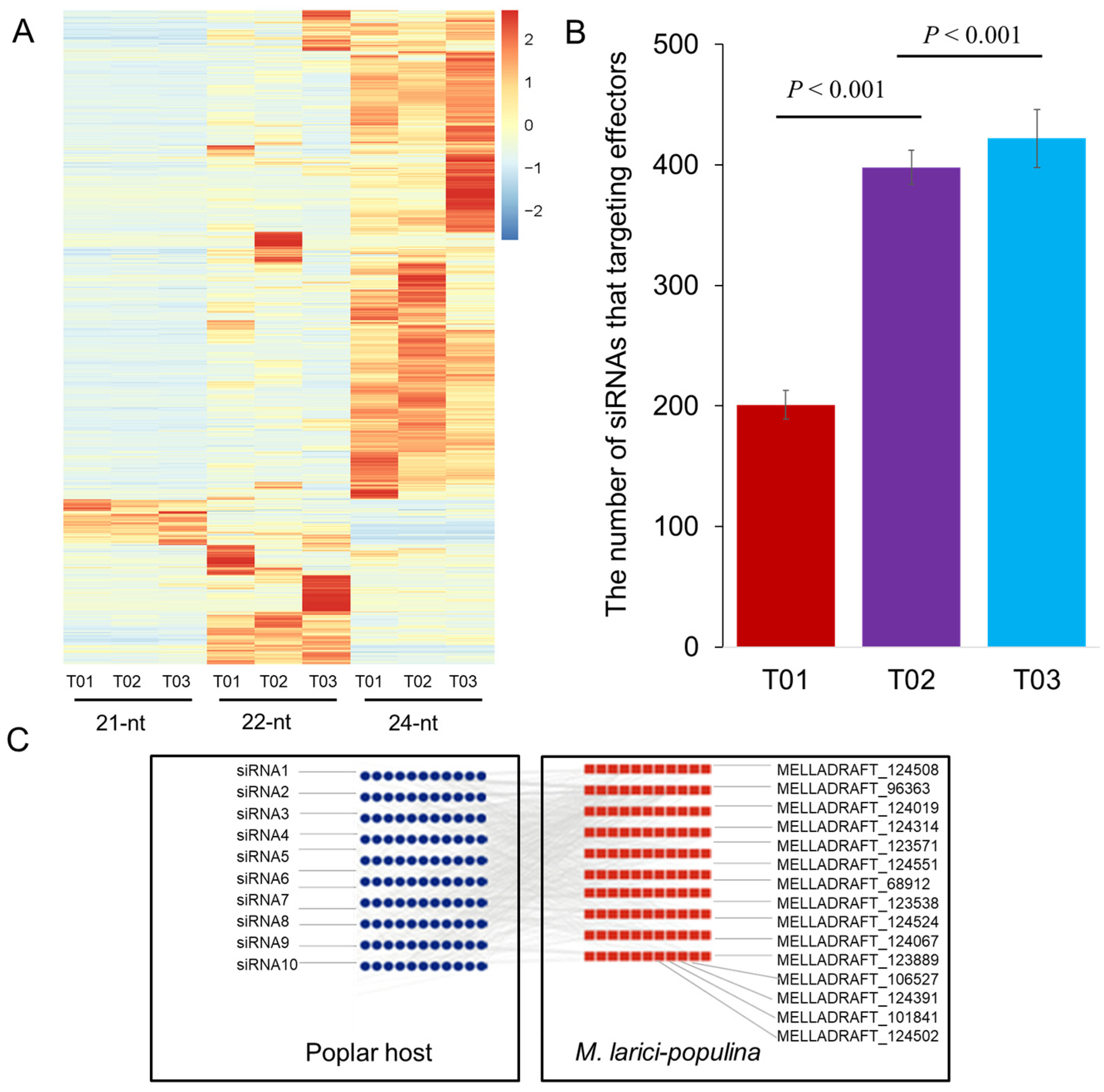 Plants 14 01265 g002 Plants 14 01265 g002