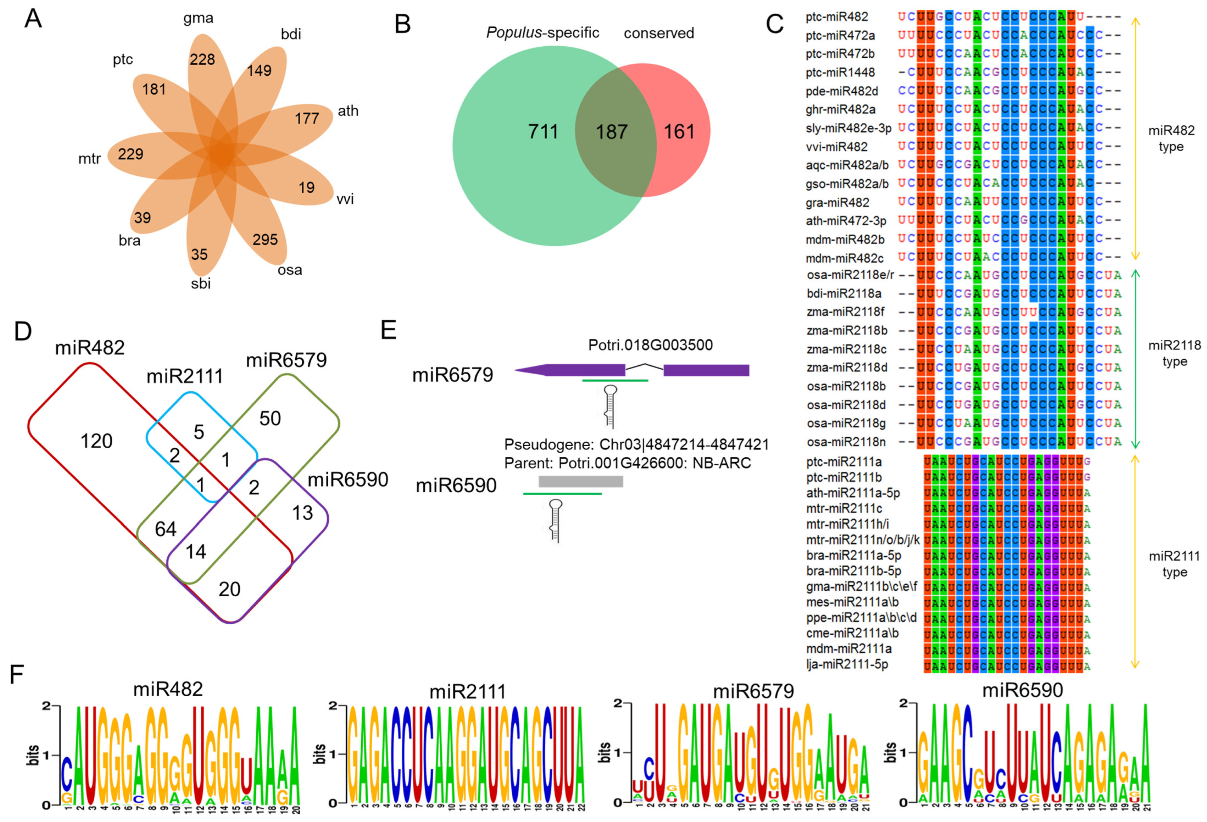 Plants 14 01265 g003 Plants 14 01265 g003