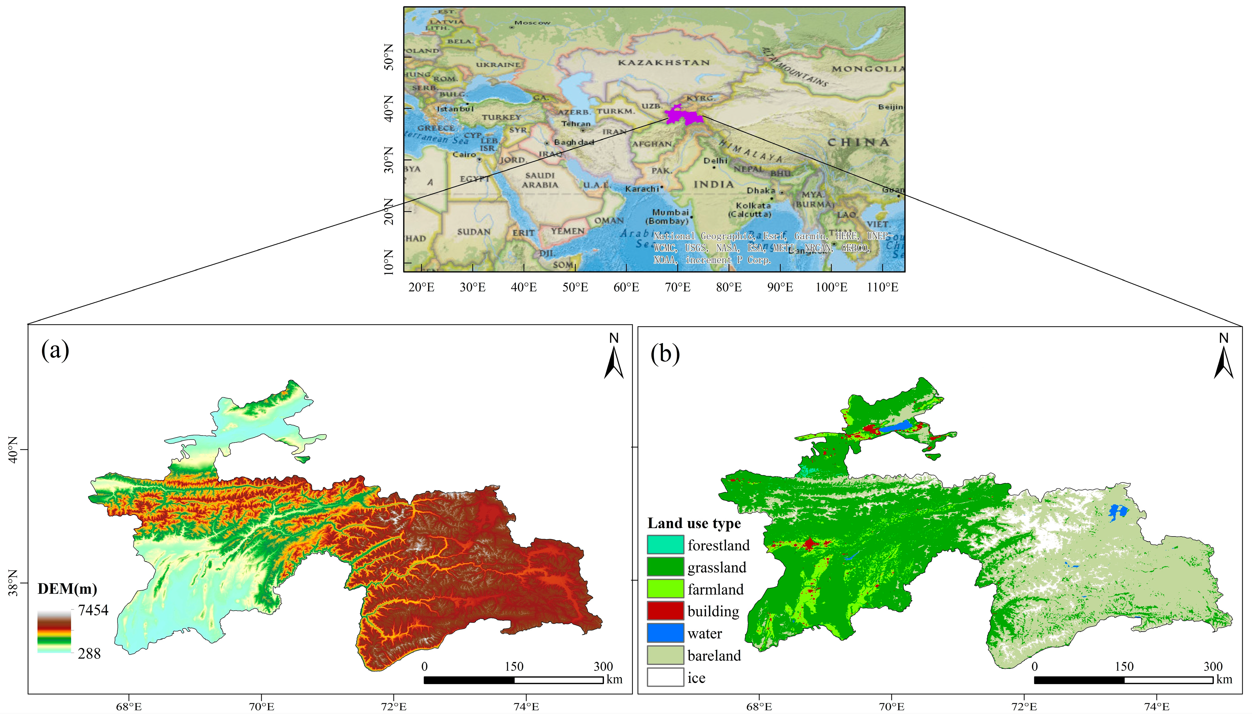 Plants 14 01266 g001