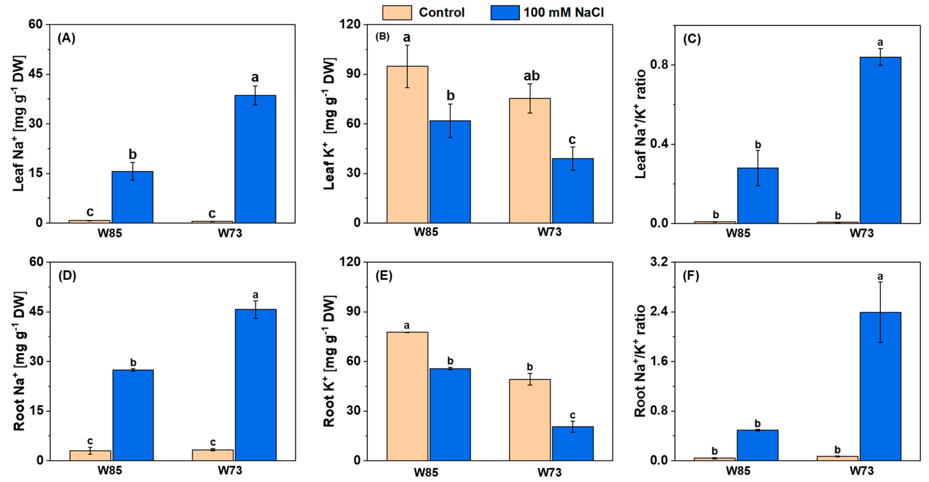 Plants 14 01268 g004
