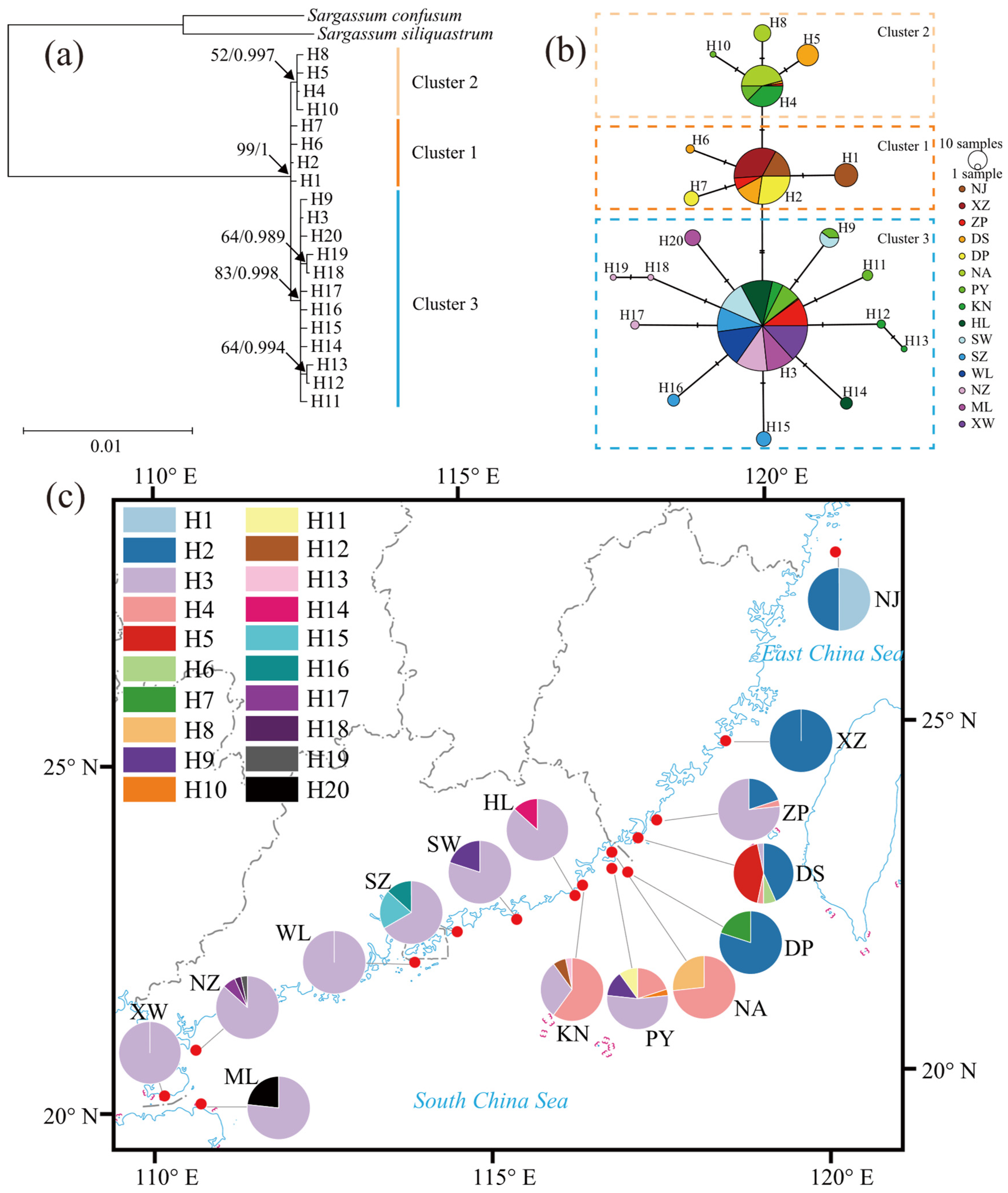Plants 14 01269 g002