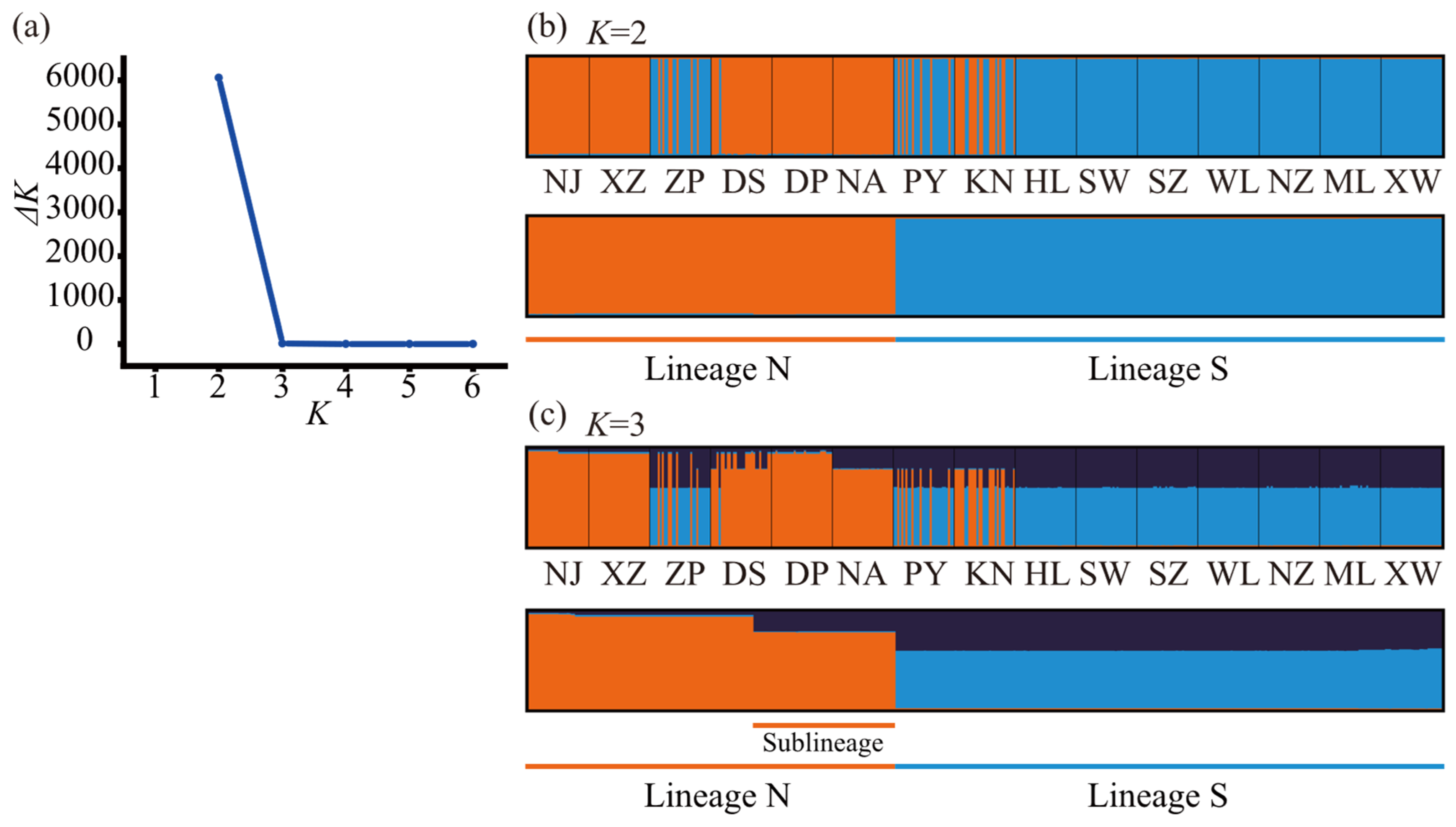 Plants 14 01269 g005