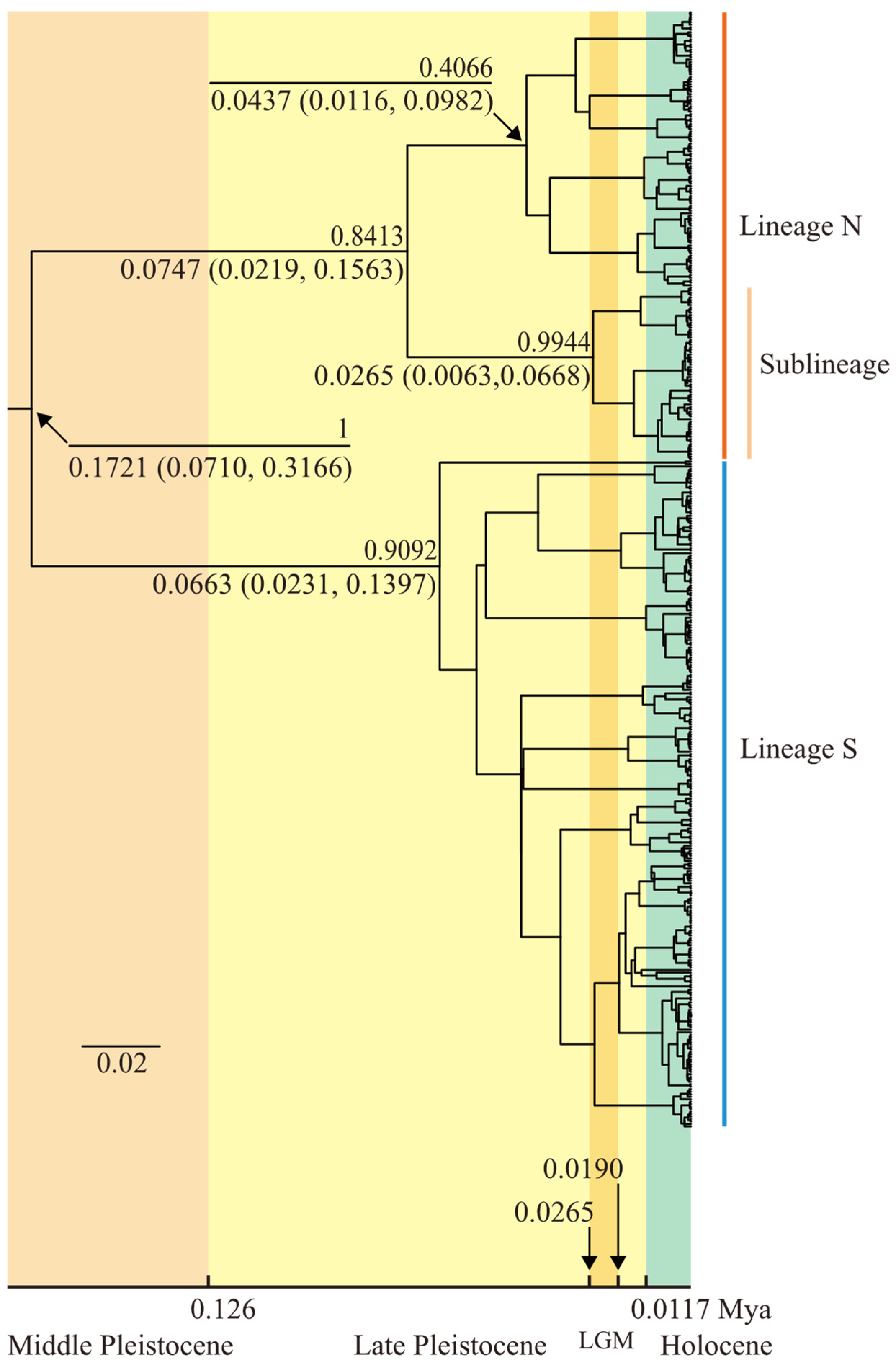 Plants 14 01269 g007