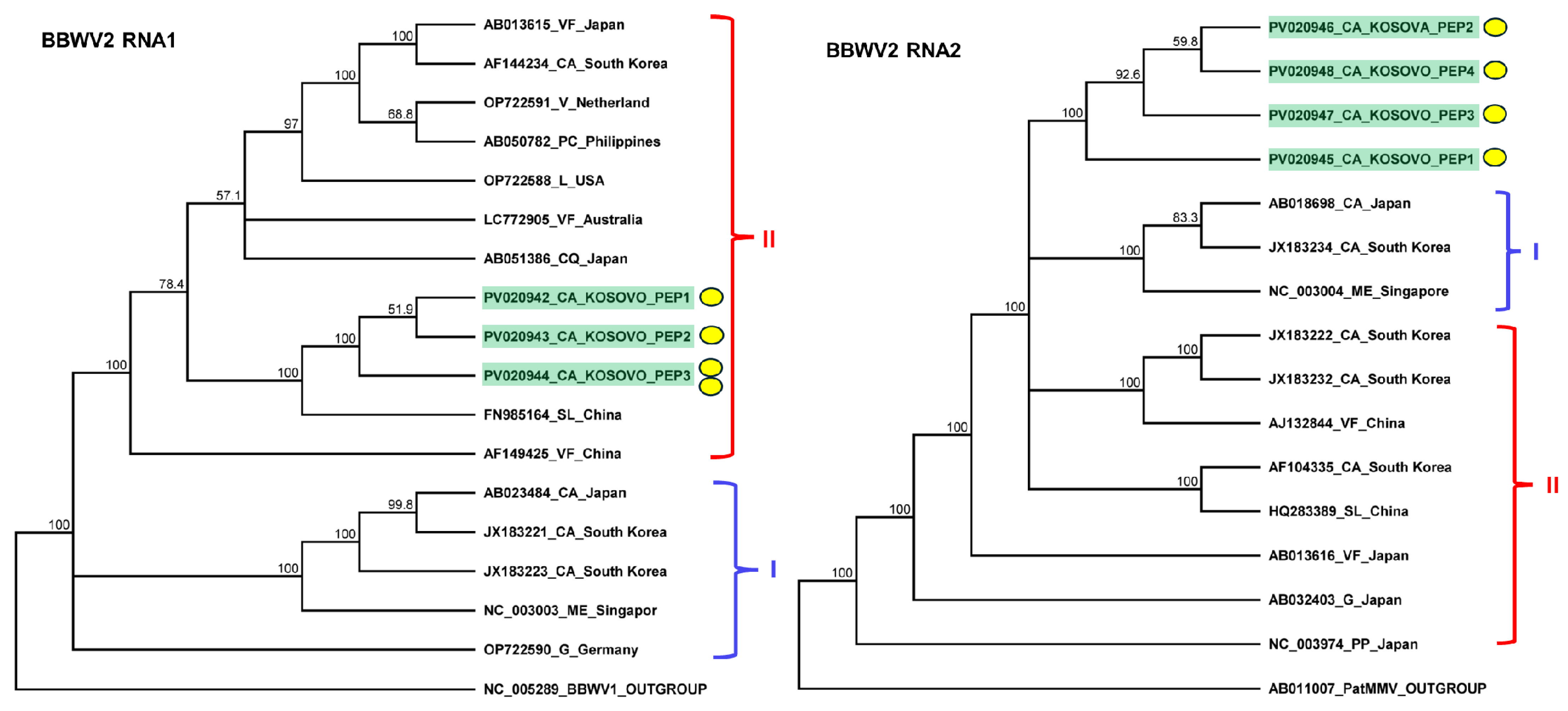 Plants 14 01273 g004 Plants 14 01273 g004