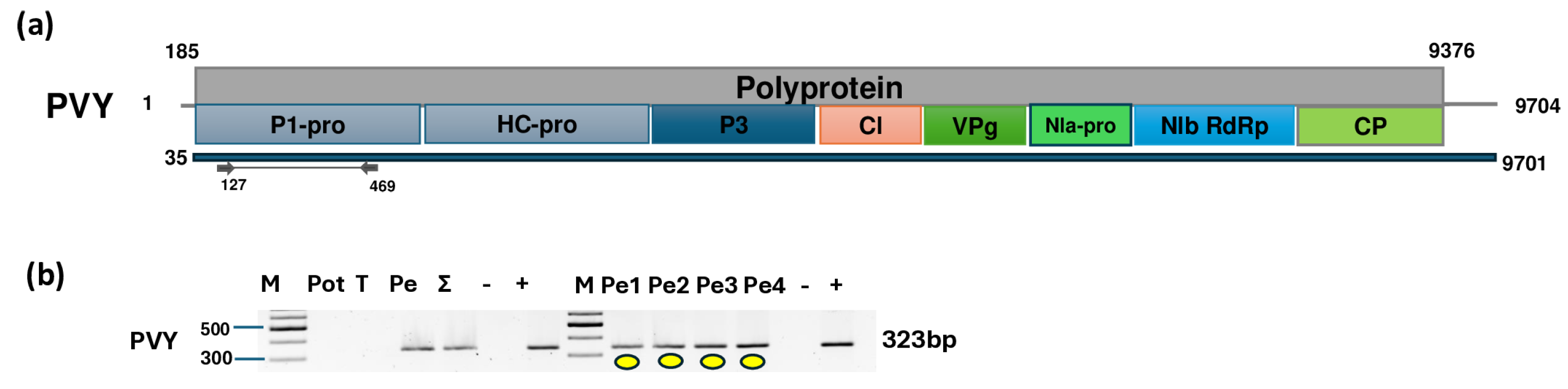 Plants 14 01273 g005 Plants 14 01273 g005