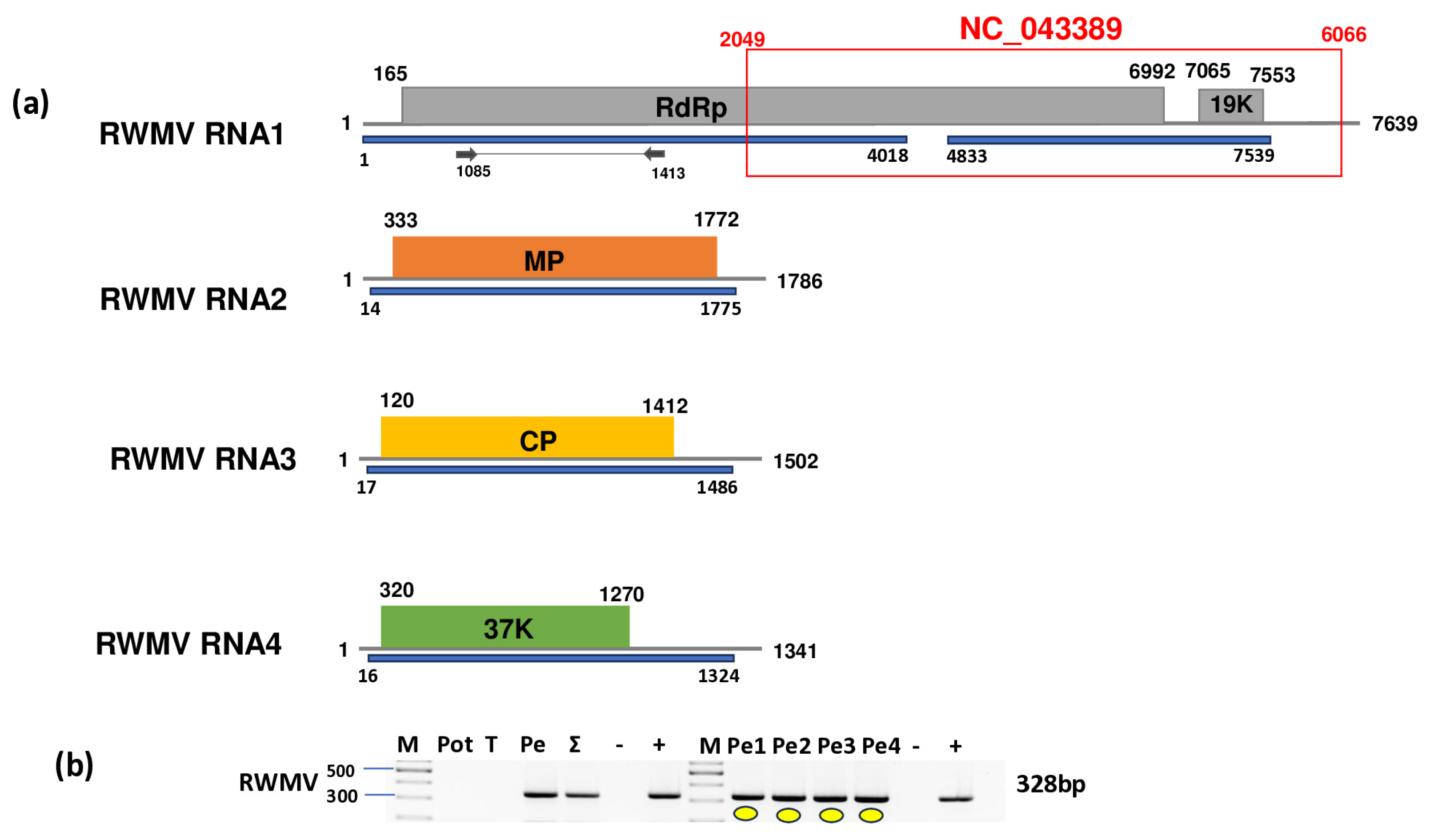 Plants 14 01273 g009 Plants 14 01273 g009