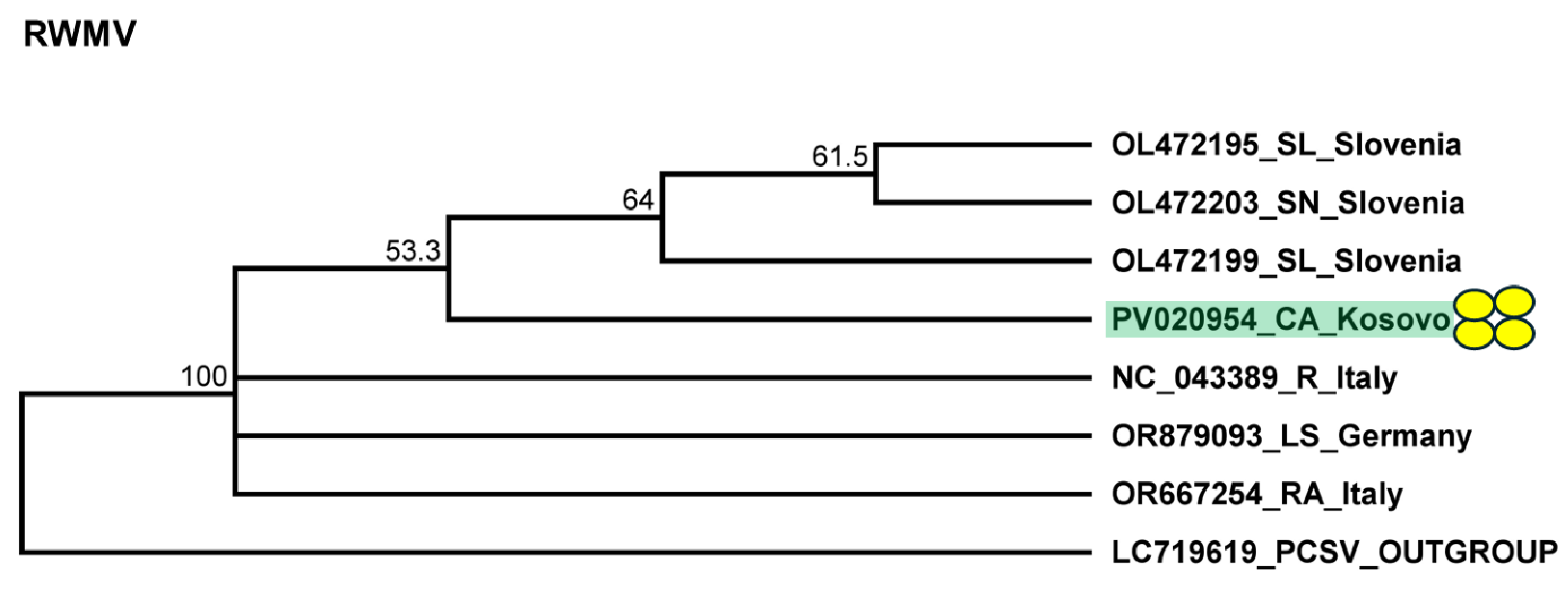 Plants 14 01273 g010 Plants 14 01273 g010