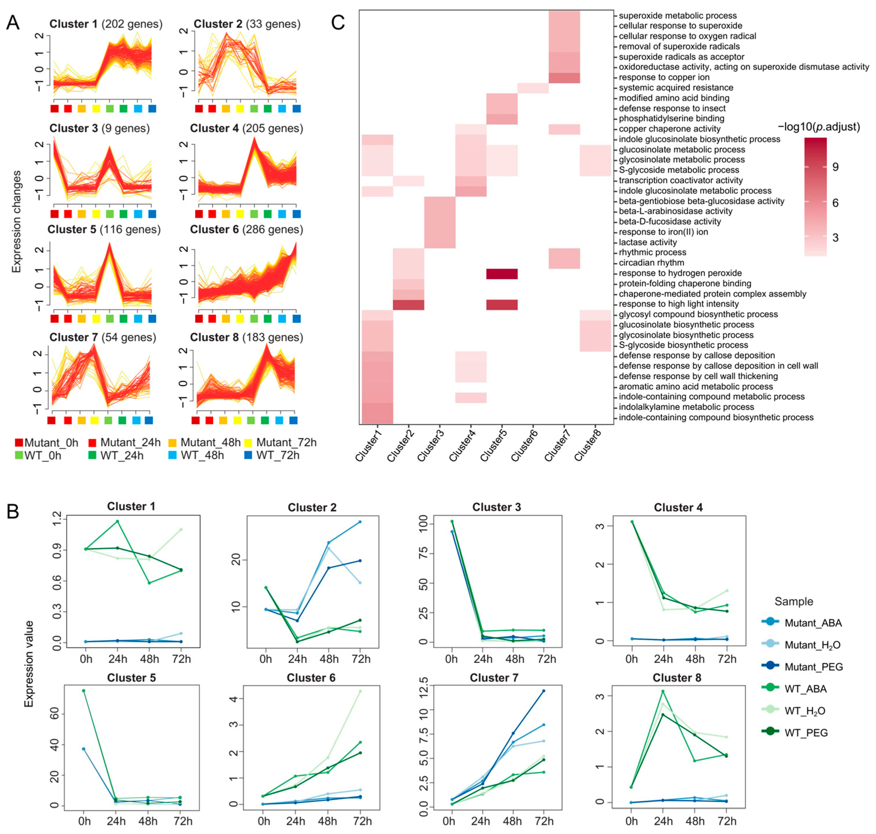 Plants 14 01276 g004