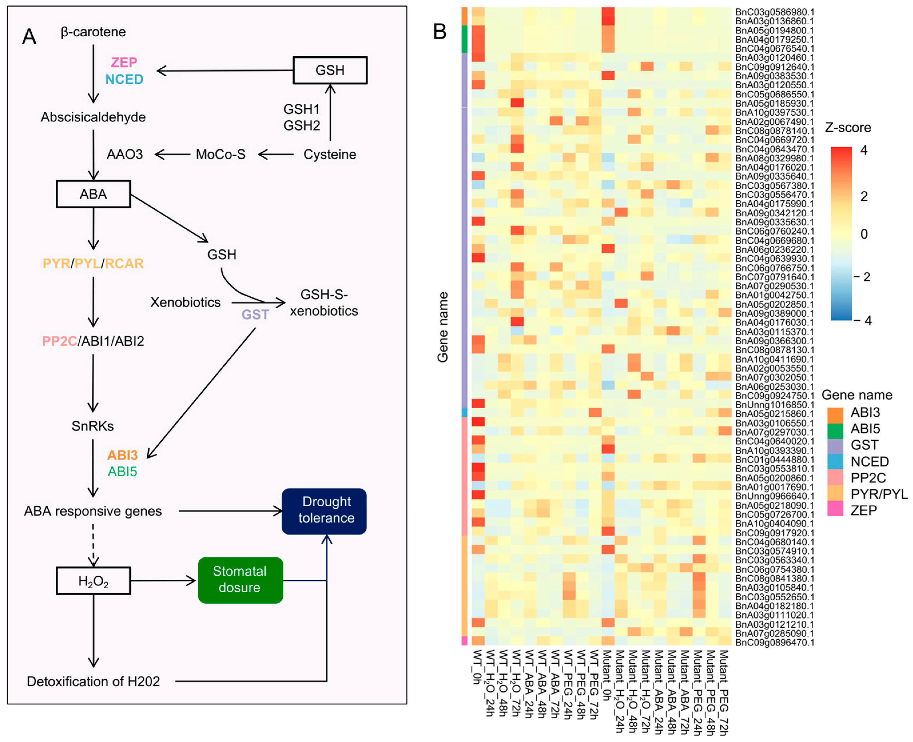 Plants 14 01276 g007