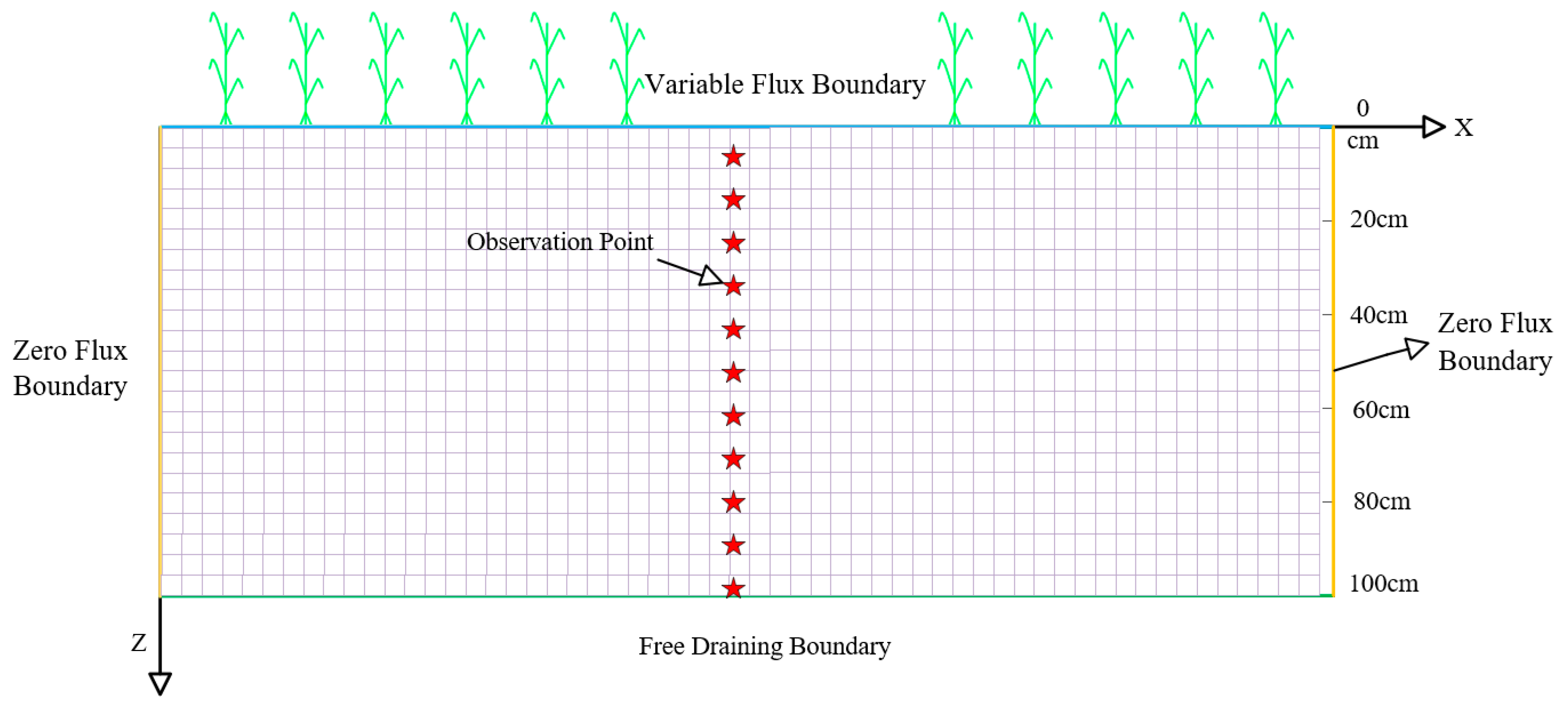 Plants 14 01278 g008