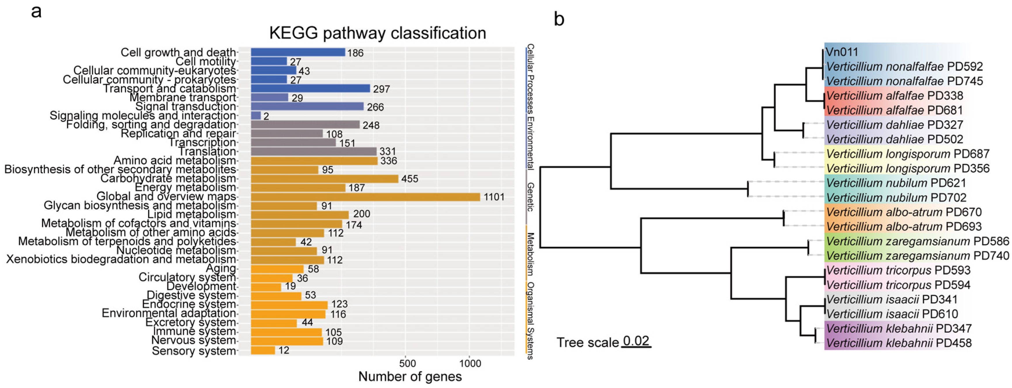 Plants 14 01281 g004
